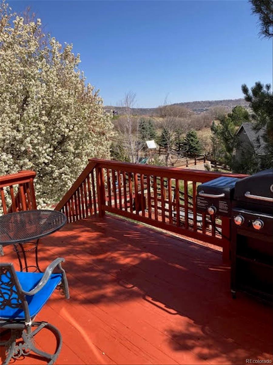 MLS Image #33 for 1225  switch grass drive,castle rock, Colorado
