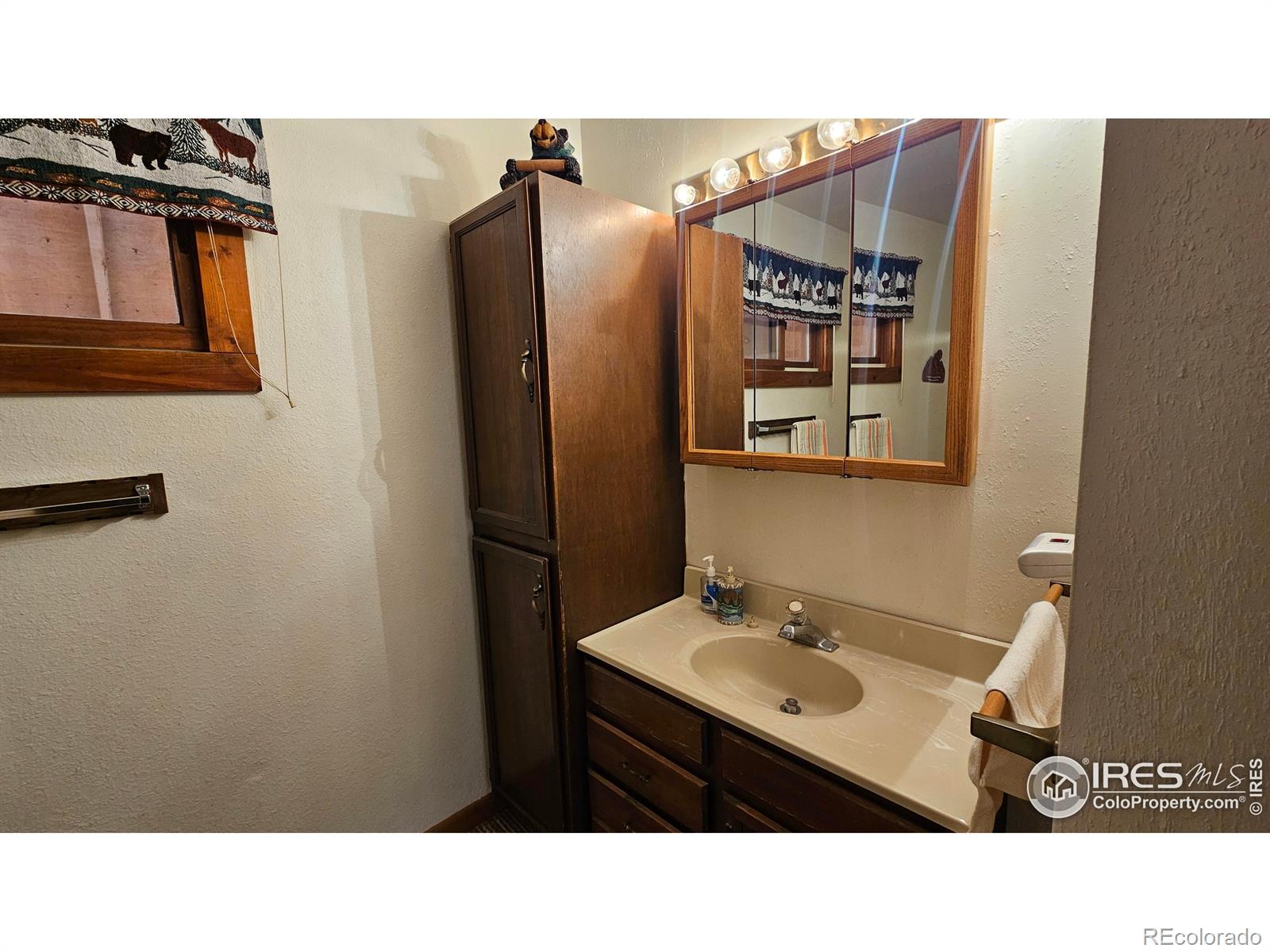 MLS Image #15 for 412  eagle tree circle,red feather lakes, Colorado