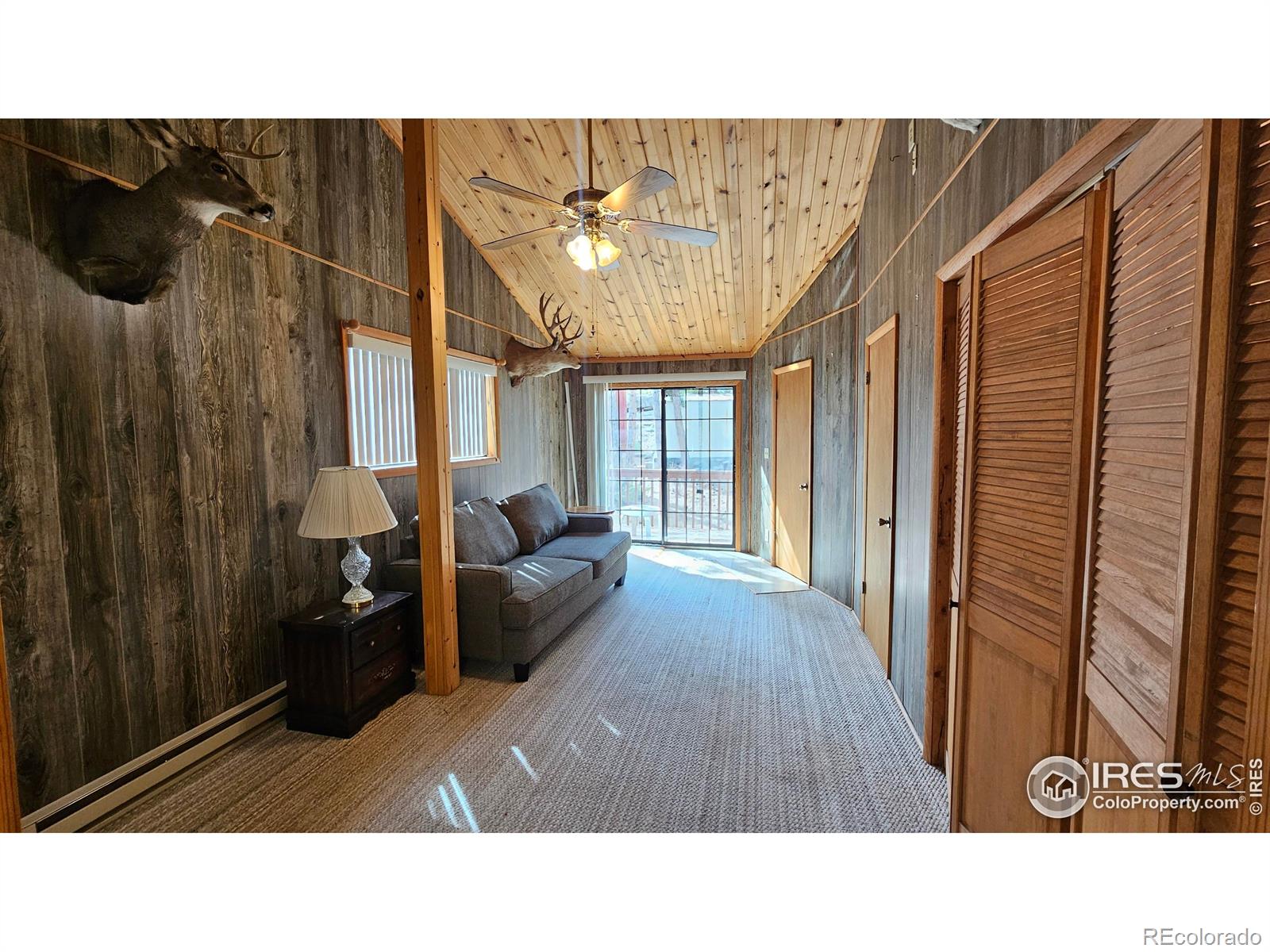 MLS Image #9 for 412  eagle tree circle,red feather lakes, Colorado