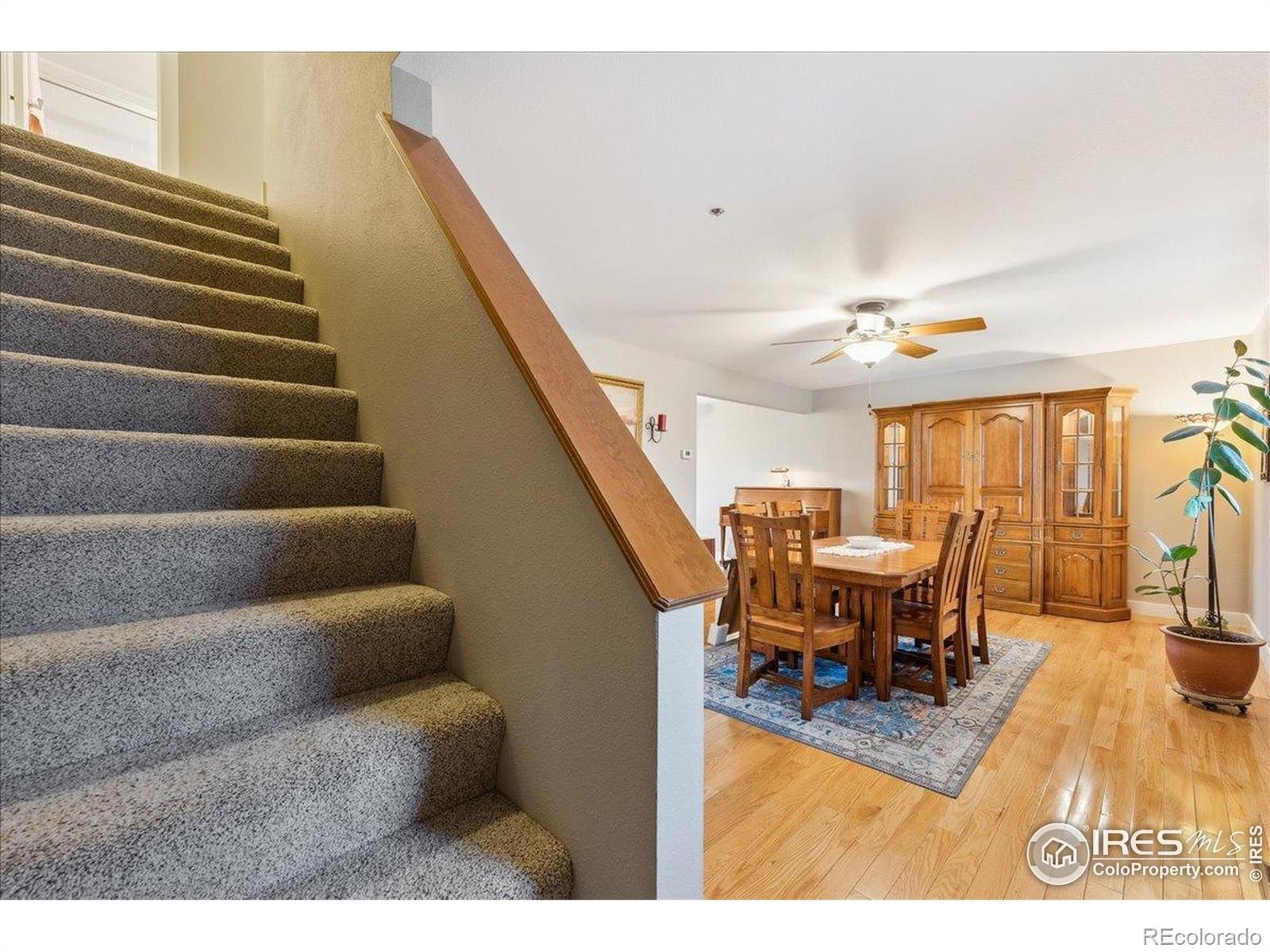 MLS Image #18 for 2506  sunstone drive,fort collins, Colorado