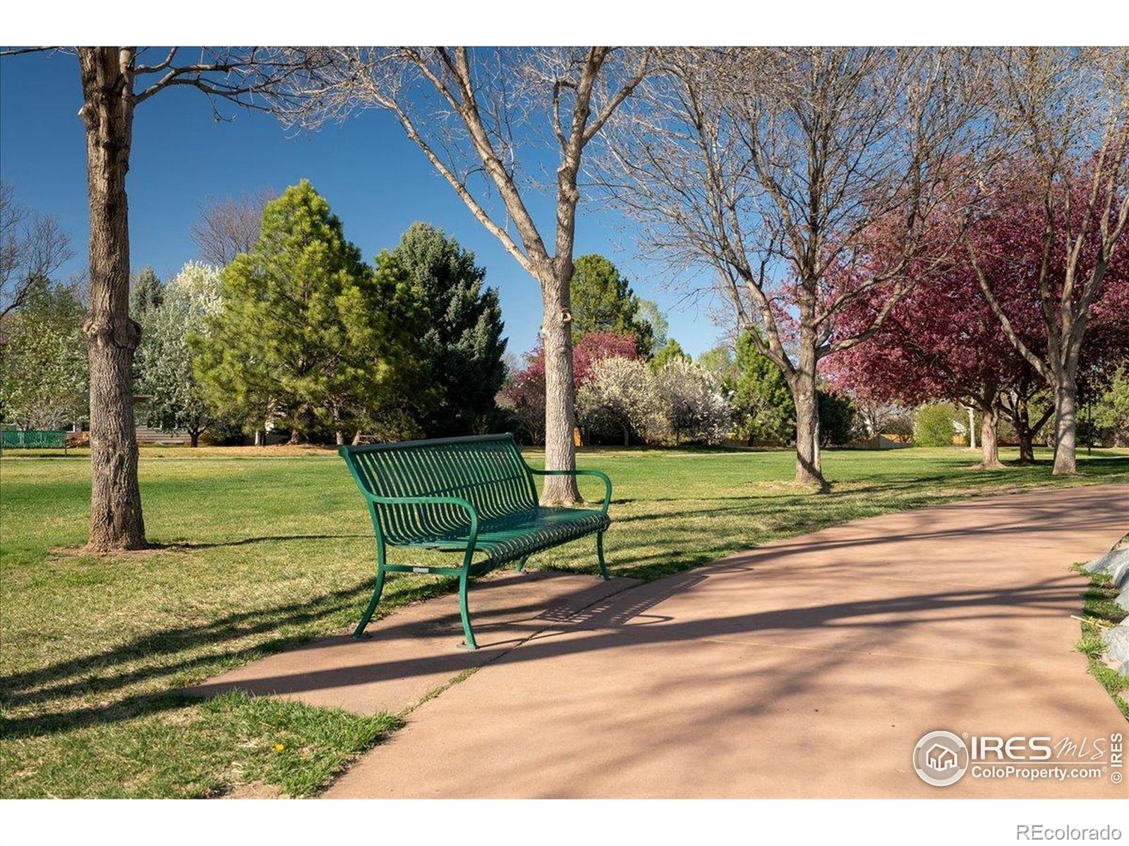 MLS Image #31 for 2506  sunstone drive,fort collins, Colorado