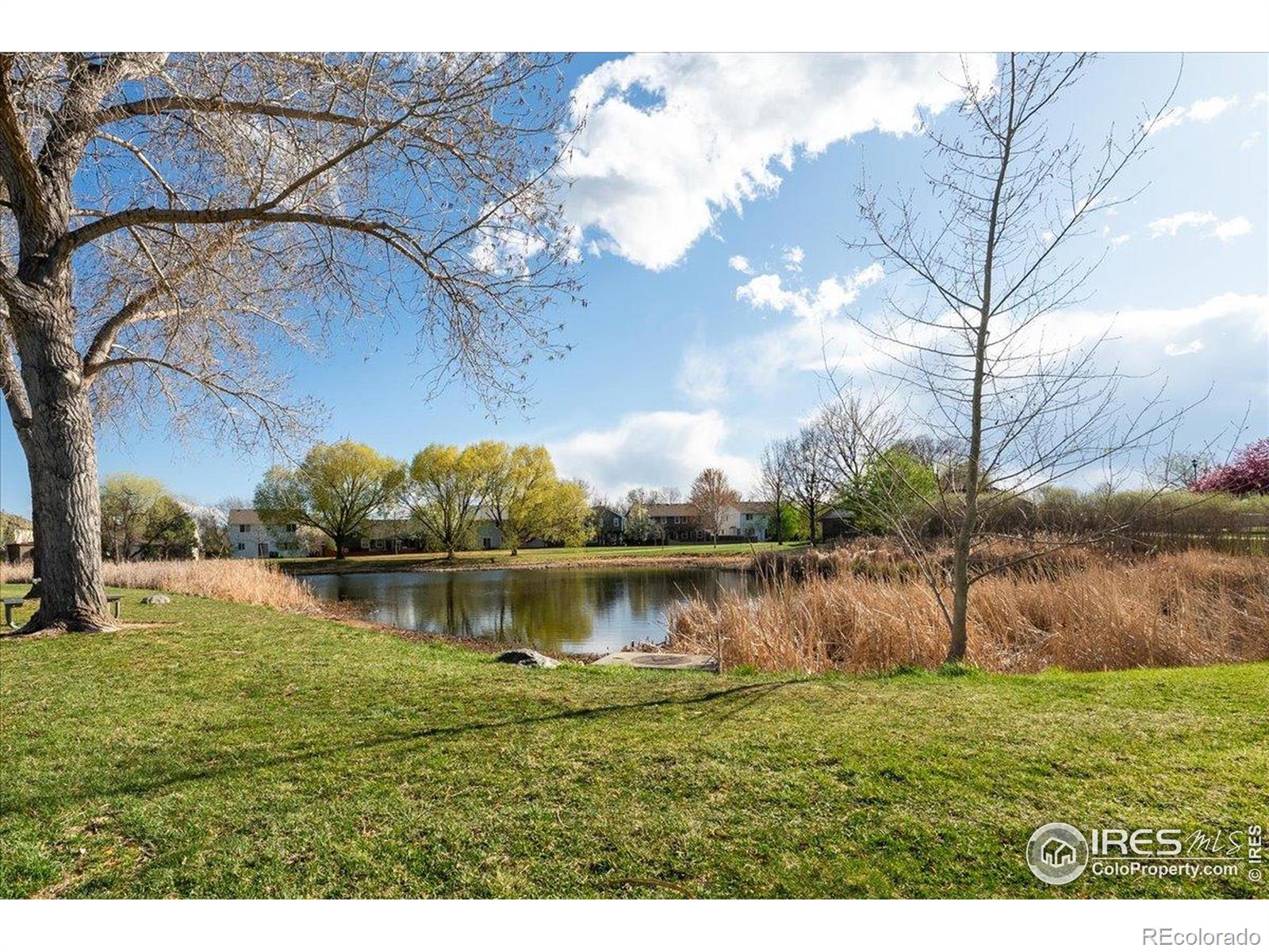 MLS Image #33 for 2506  sunstone drive,fort collins, Colorado