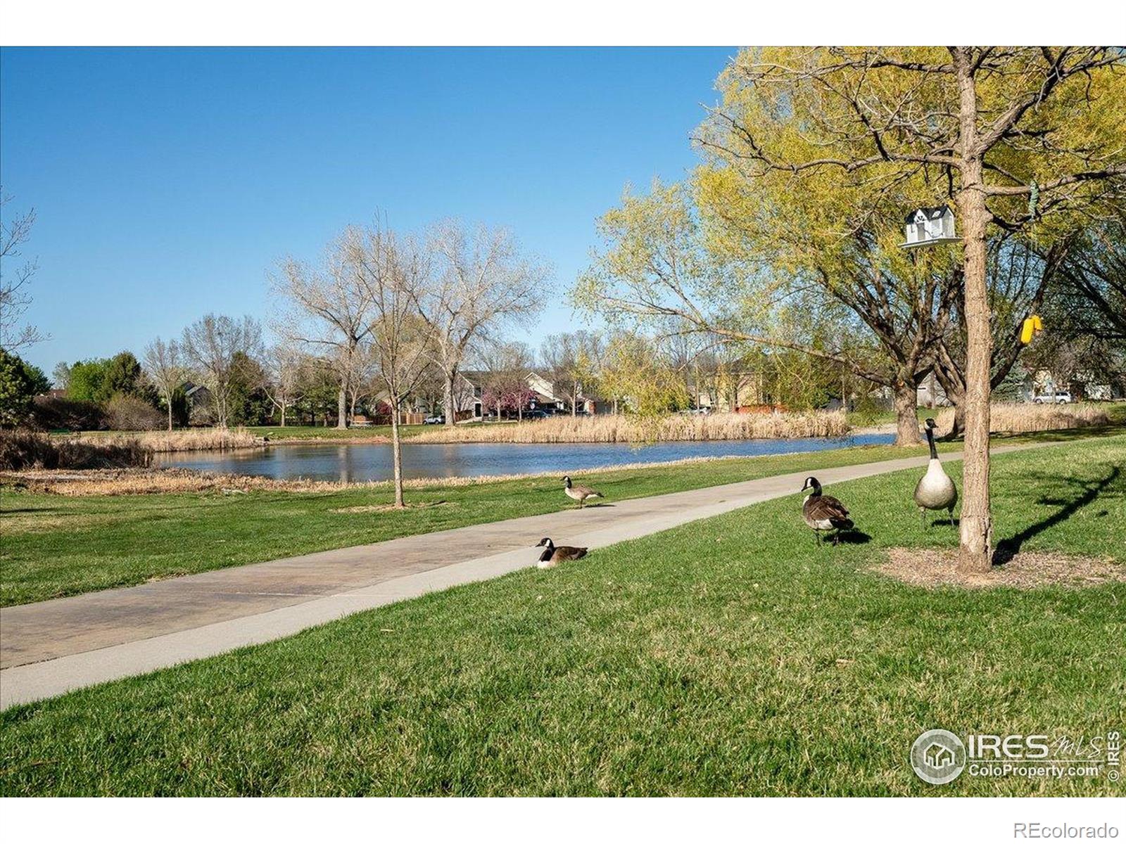 MLS Image #35 for 2506  sunstone drive,fort collins, Colorado