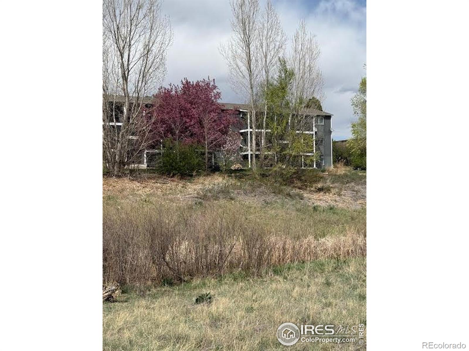 MLS Image #7 for 1684  riverside avenue,fort collins, Colorado