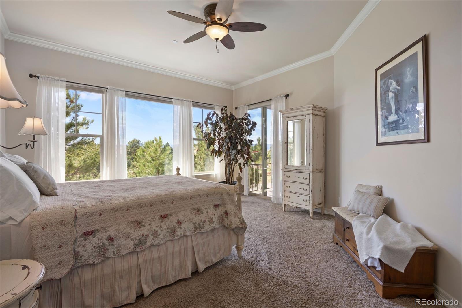 MLS Image #11 for 4336  chateau ridge road,castle rock, Colorado