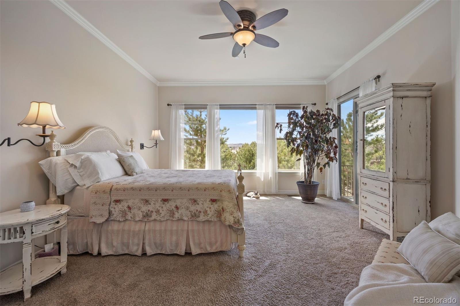 MLS Image #12 for 4336  chateau ridge road,castle rock, Colorado