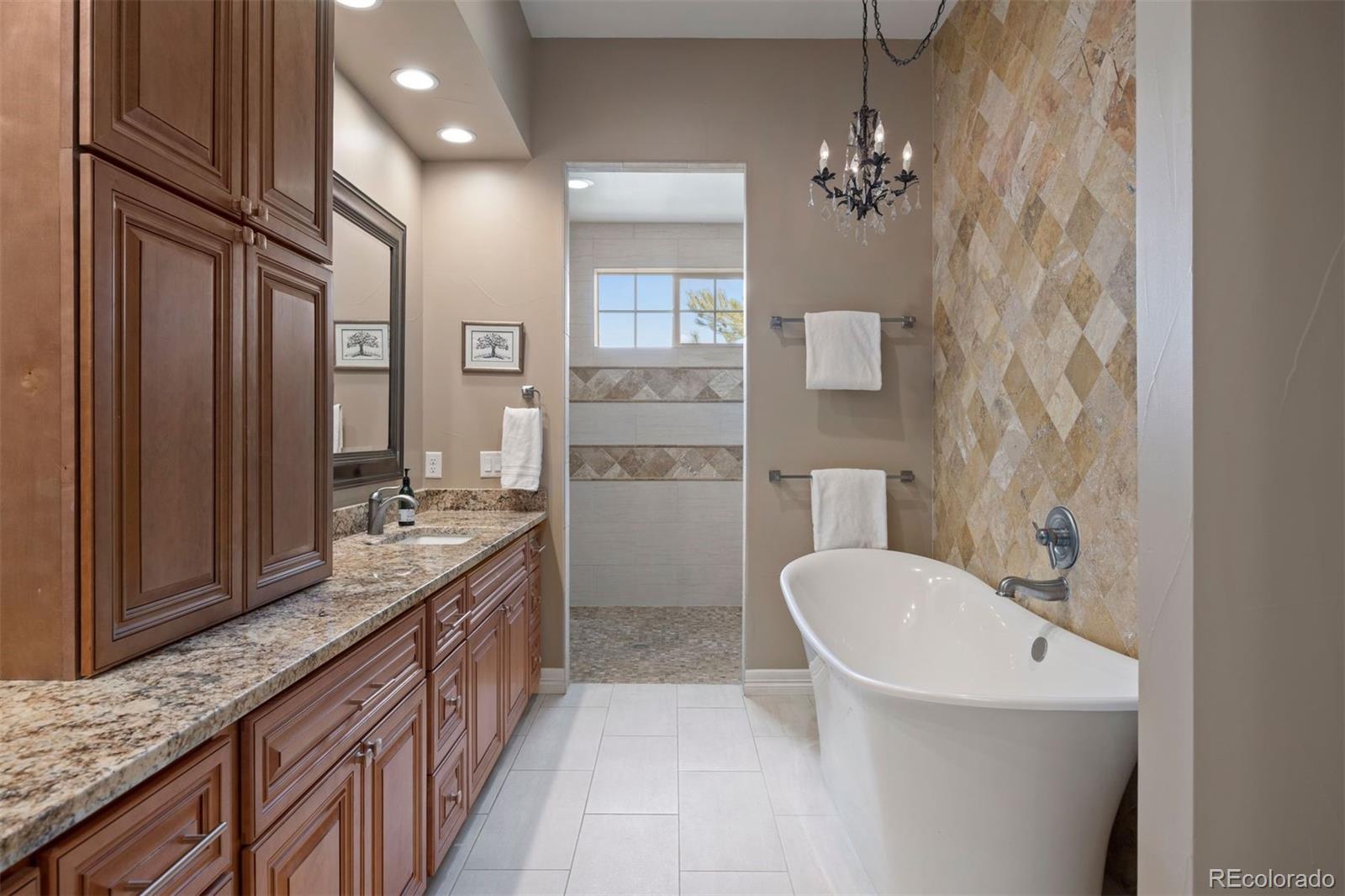 MLS Image #14 for 4336  chateau ridge road,castle rock, Colorado