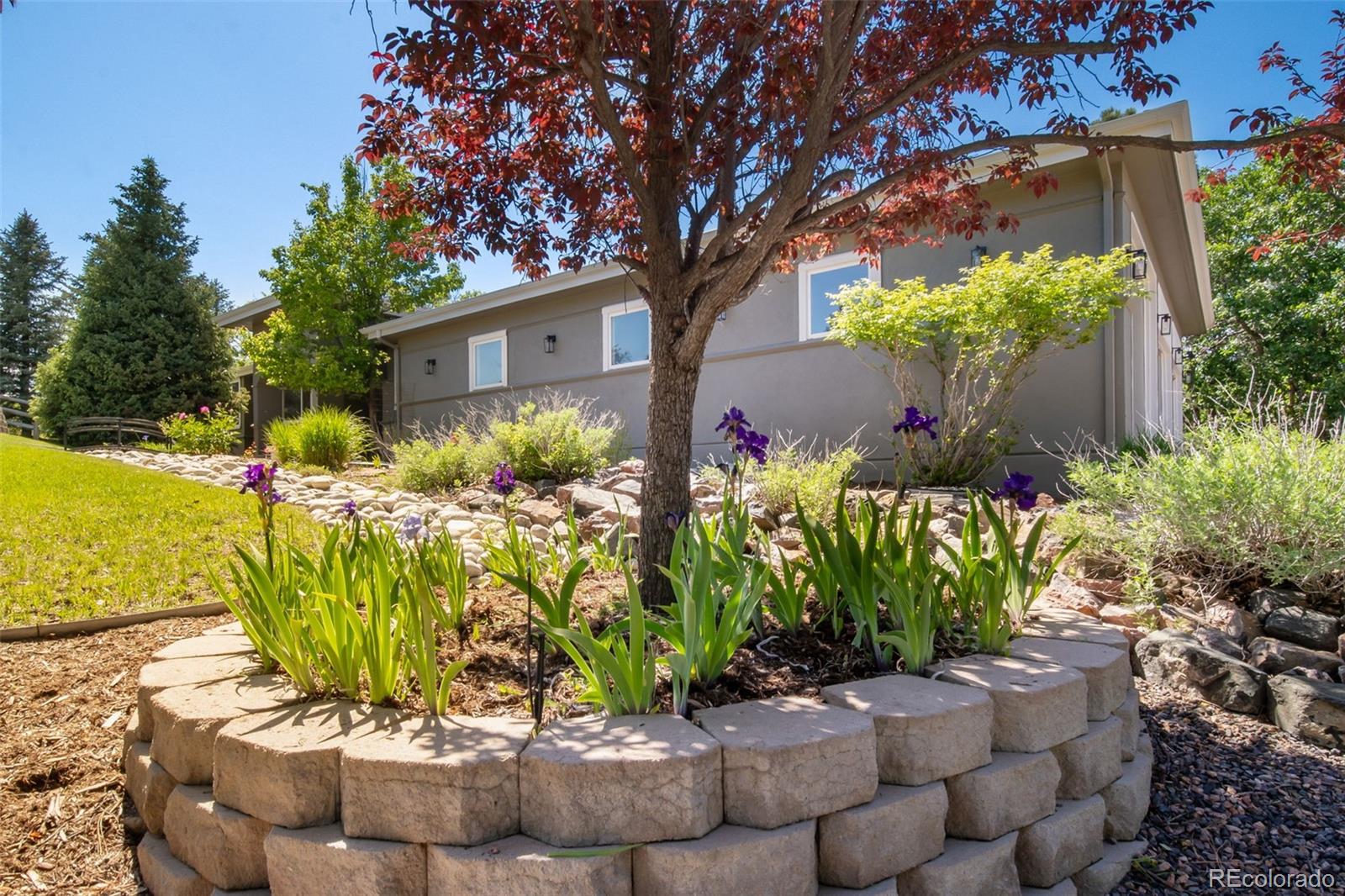 MLS Image #15 for 5631  silver bluff court,parker, Colorado