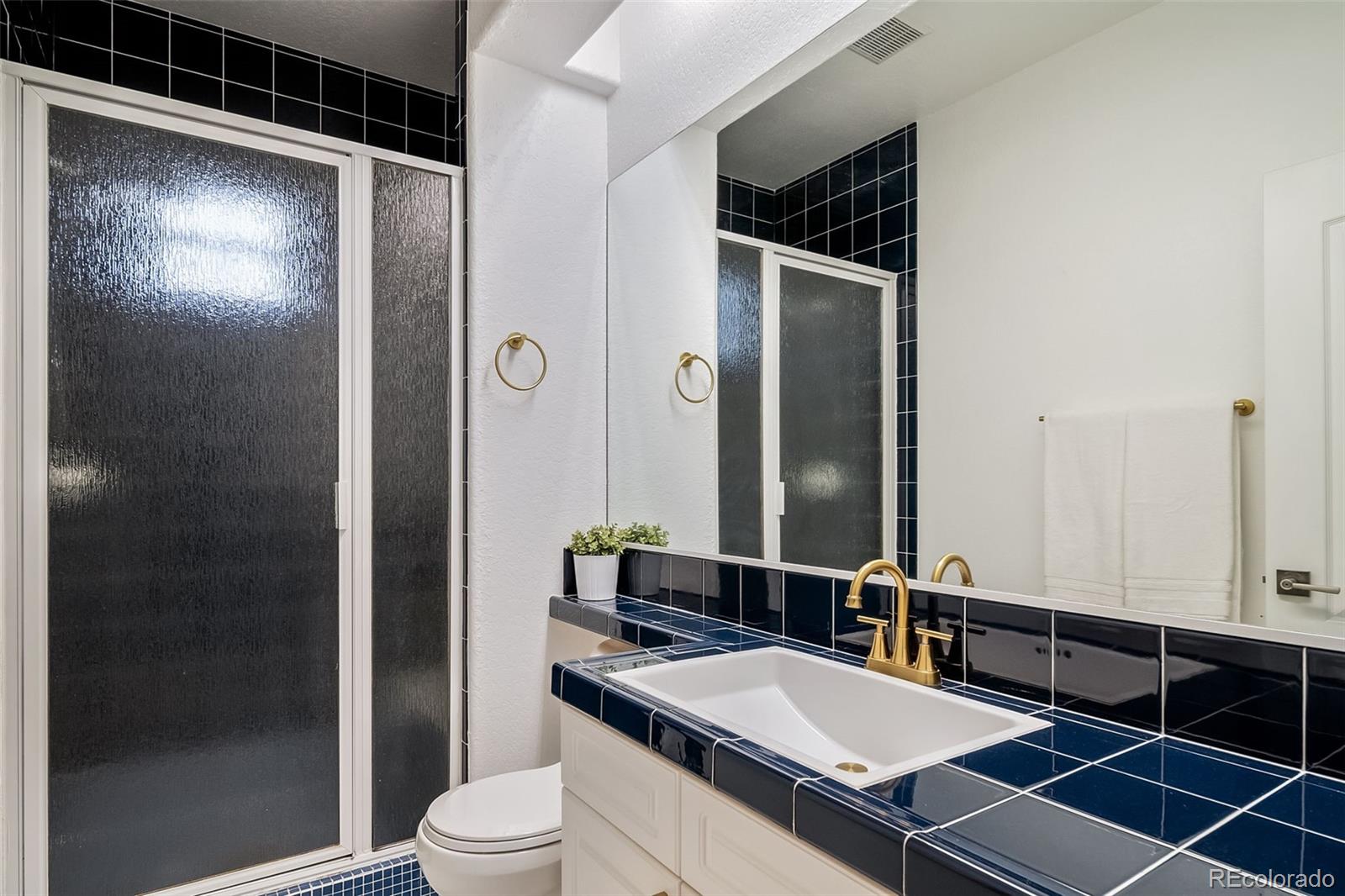 MLS Image #32 for 5631  silver bluff court,parker, Colorado