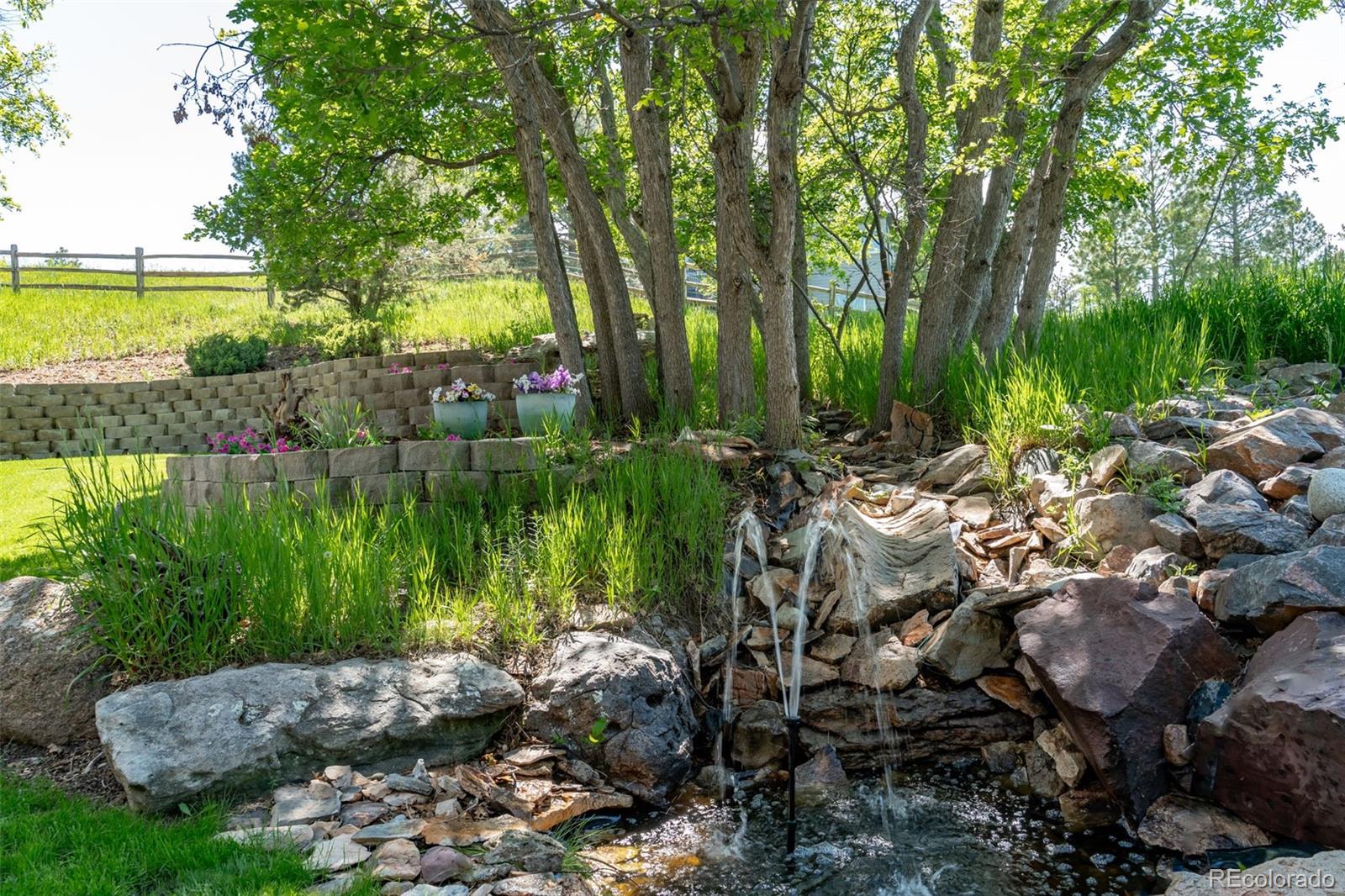MLS Image #6 for 5631  silver bluff court,parker, Colorado