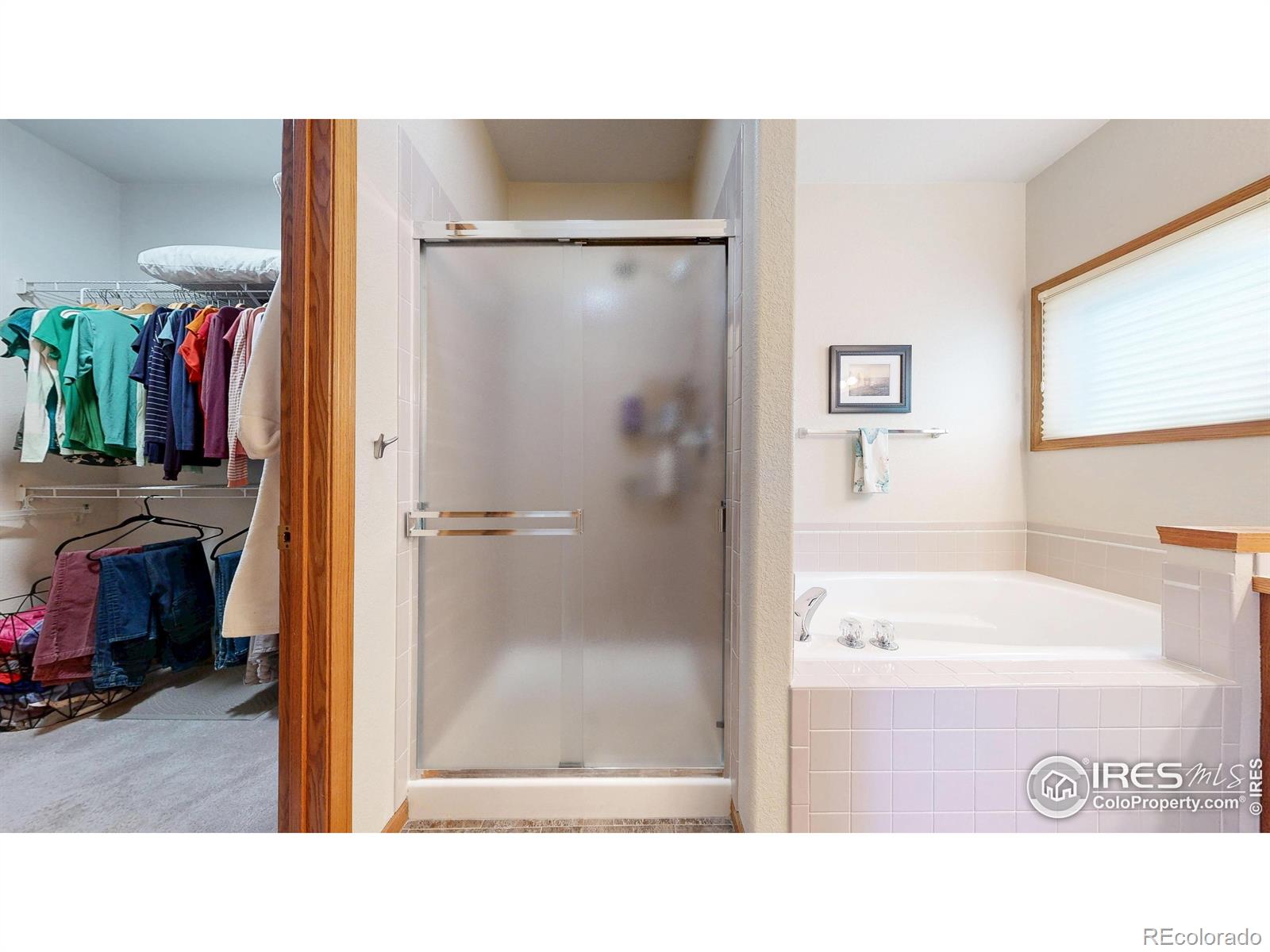 MLS Image #13 for 1437  sanford drive,fort collins, Colorado