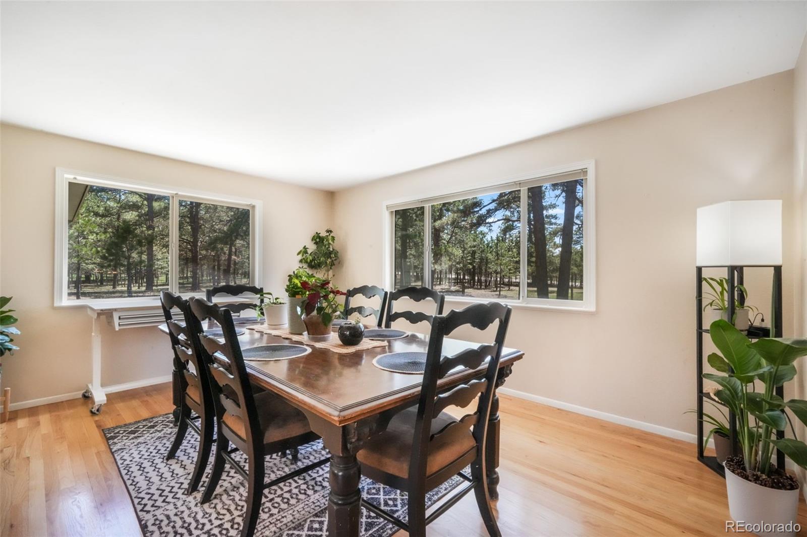 MLS Image #3 for 16725  meridian road,elbert, Colorado