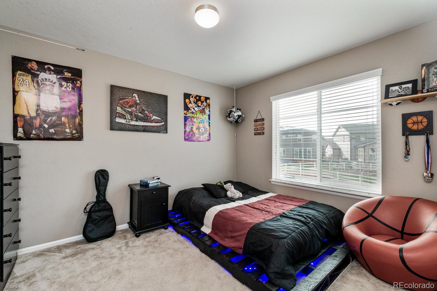 MLS Image #22 for 2636  scoter lane,castle rock, Colorado