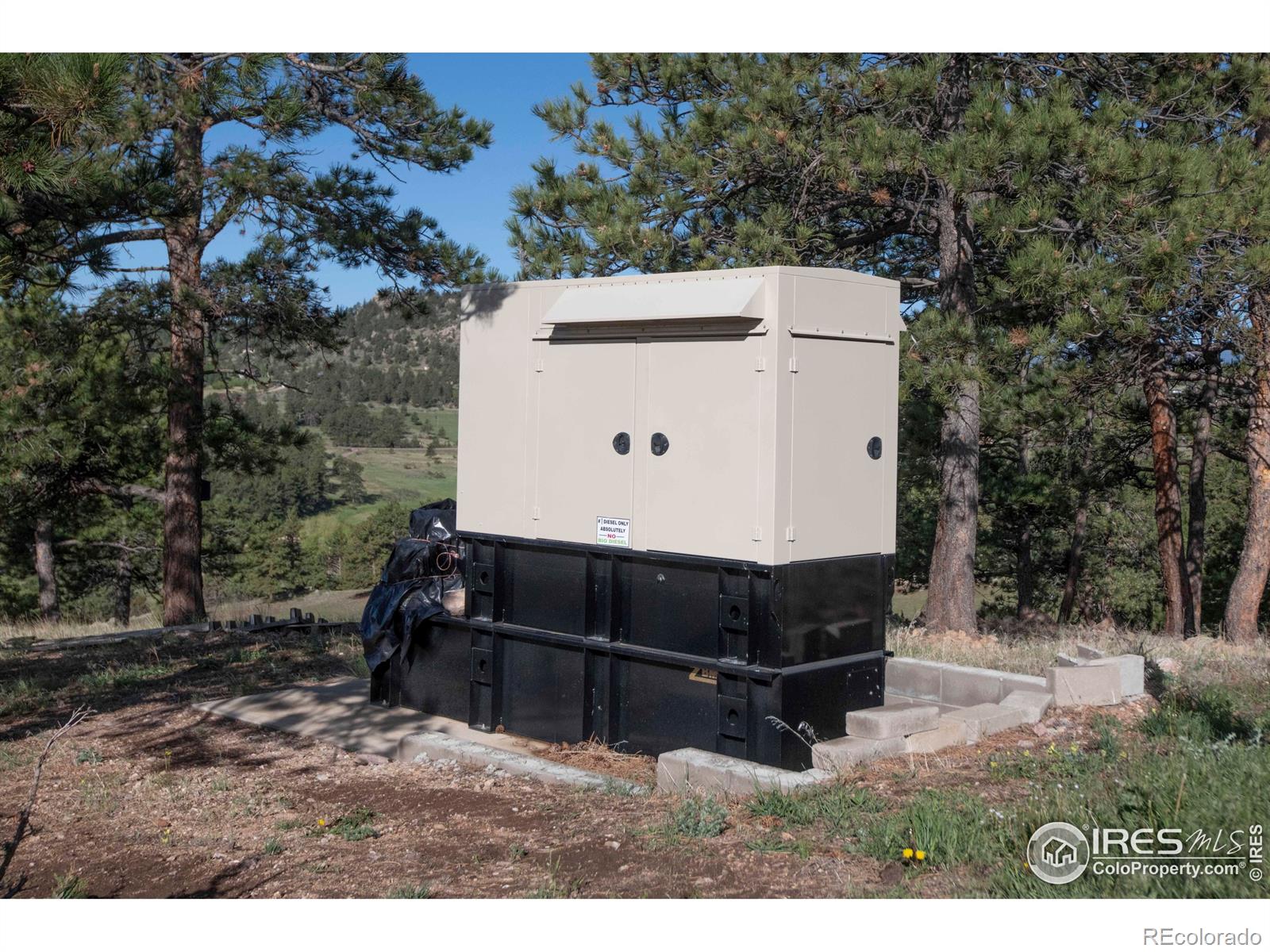MLS Image #19 for 91  eagle rising place,livermore, Colorado