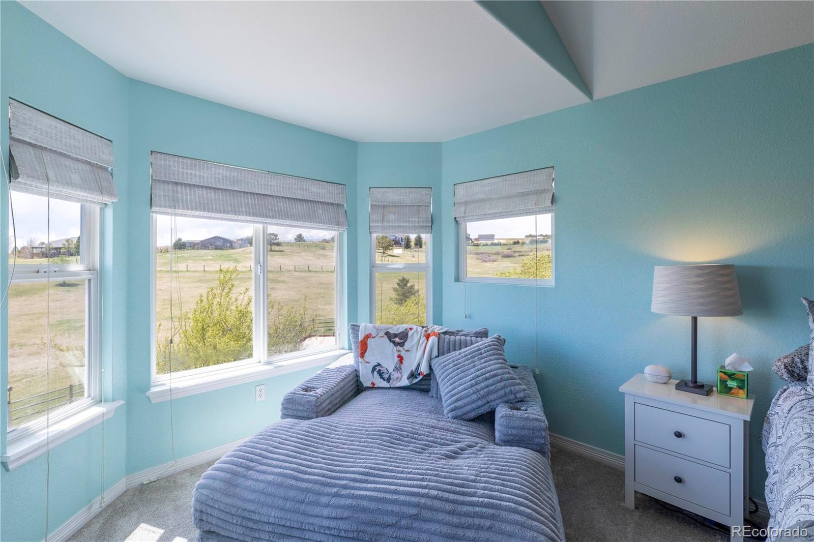 MLS Image #18 for 2339  elkhorn street,parker, Colorado