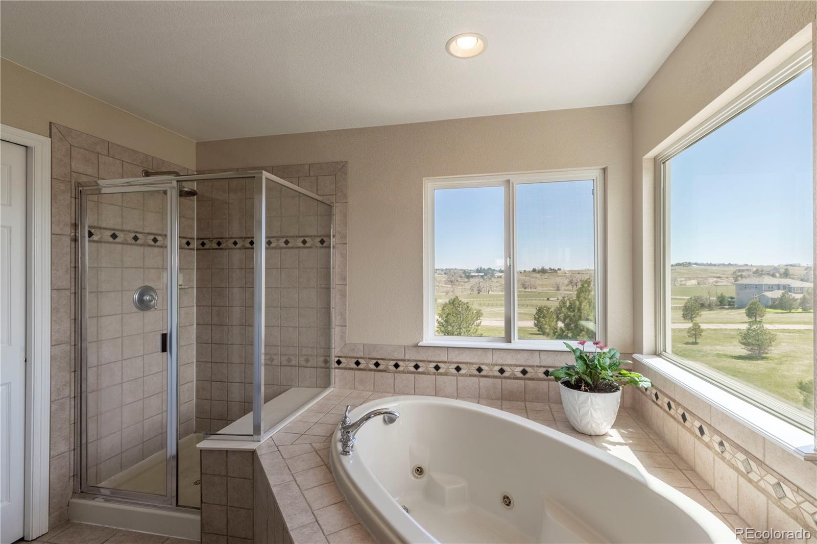 MLS Image #21 for 2339  elkhorn street,parker, Colorado