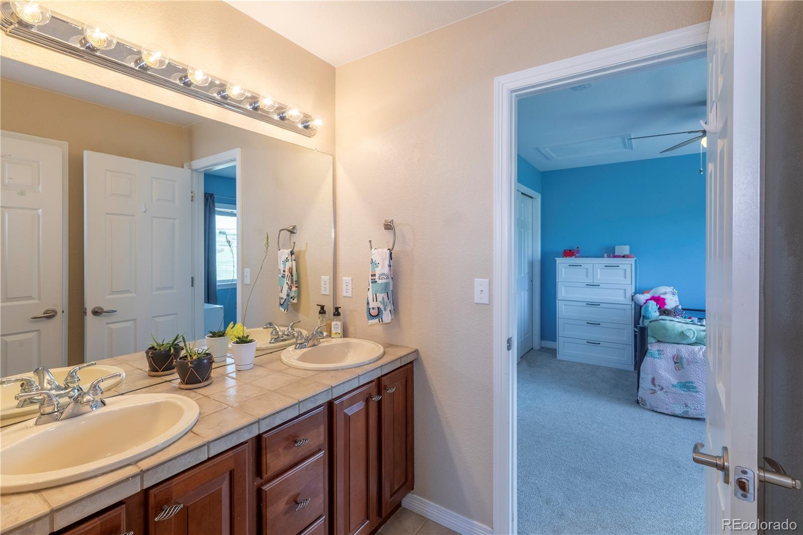 MLS Image #27 for 2339  elkhorn street,parker, Colorado