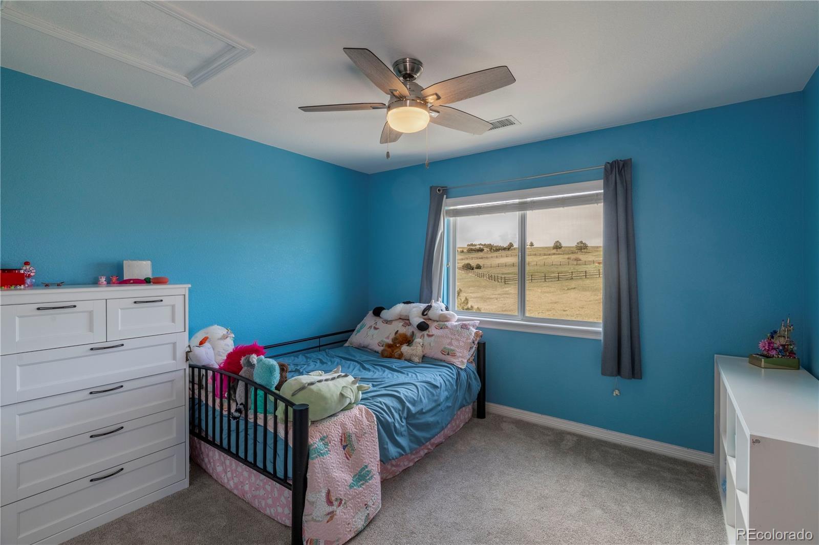 MLS Image #28 for 2339  elkhorn street,parker, Colorado