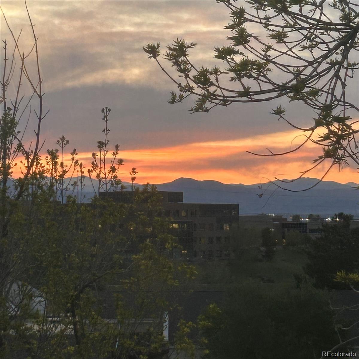 MLS Image #7 for 8975 s coyote street,highlands ranch, Colorado