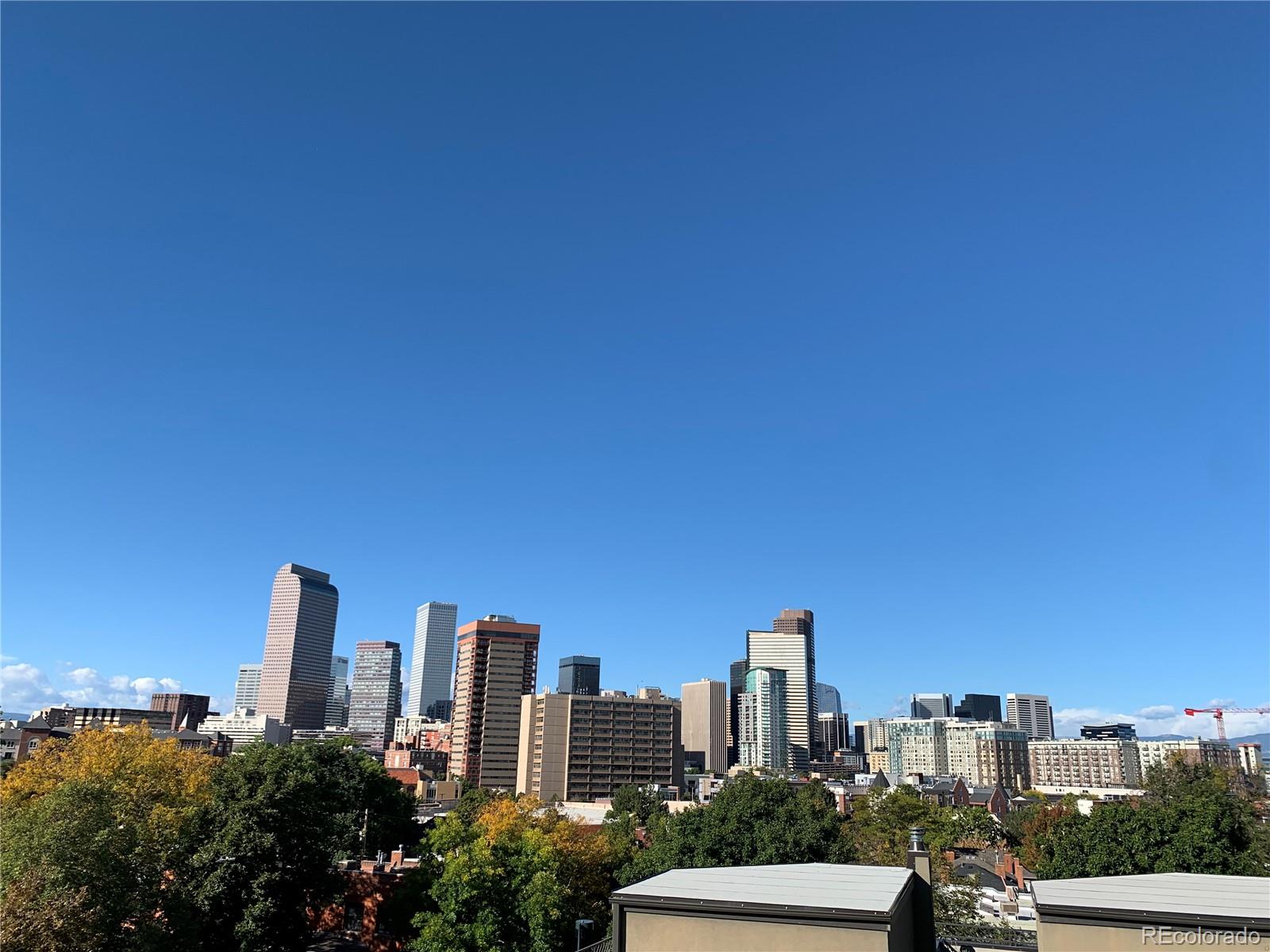 MLS Image #29 for 907 e 22nd avenue ,denver, Colorado