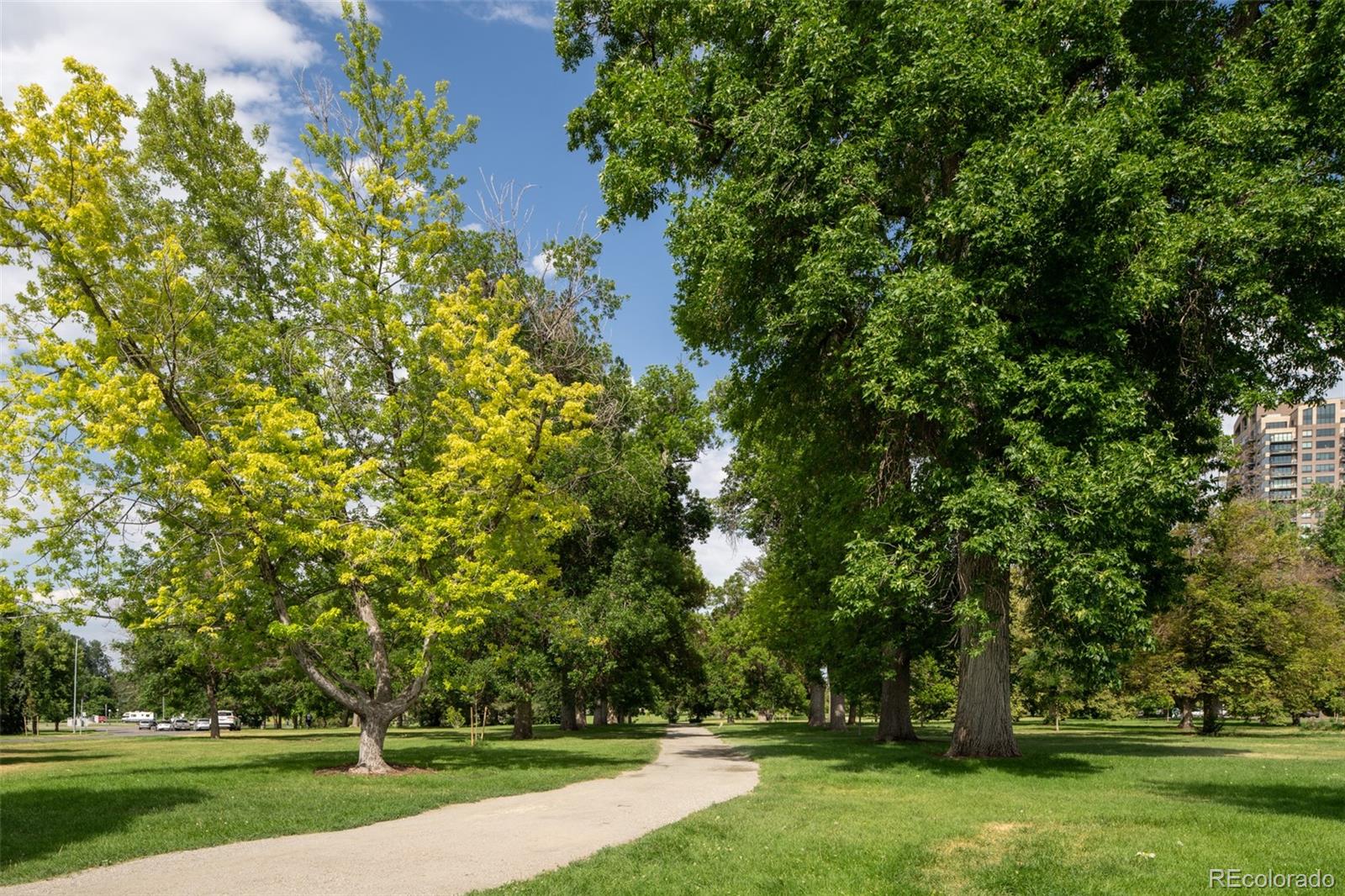 MLS Image #35 for 907 e 22nd avenue ,denver, Colorado