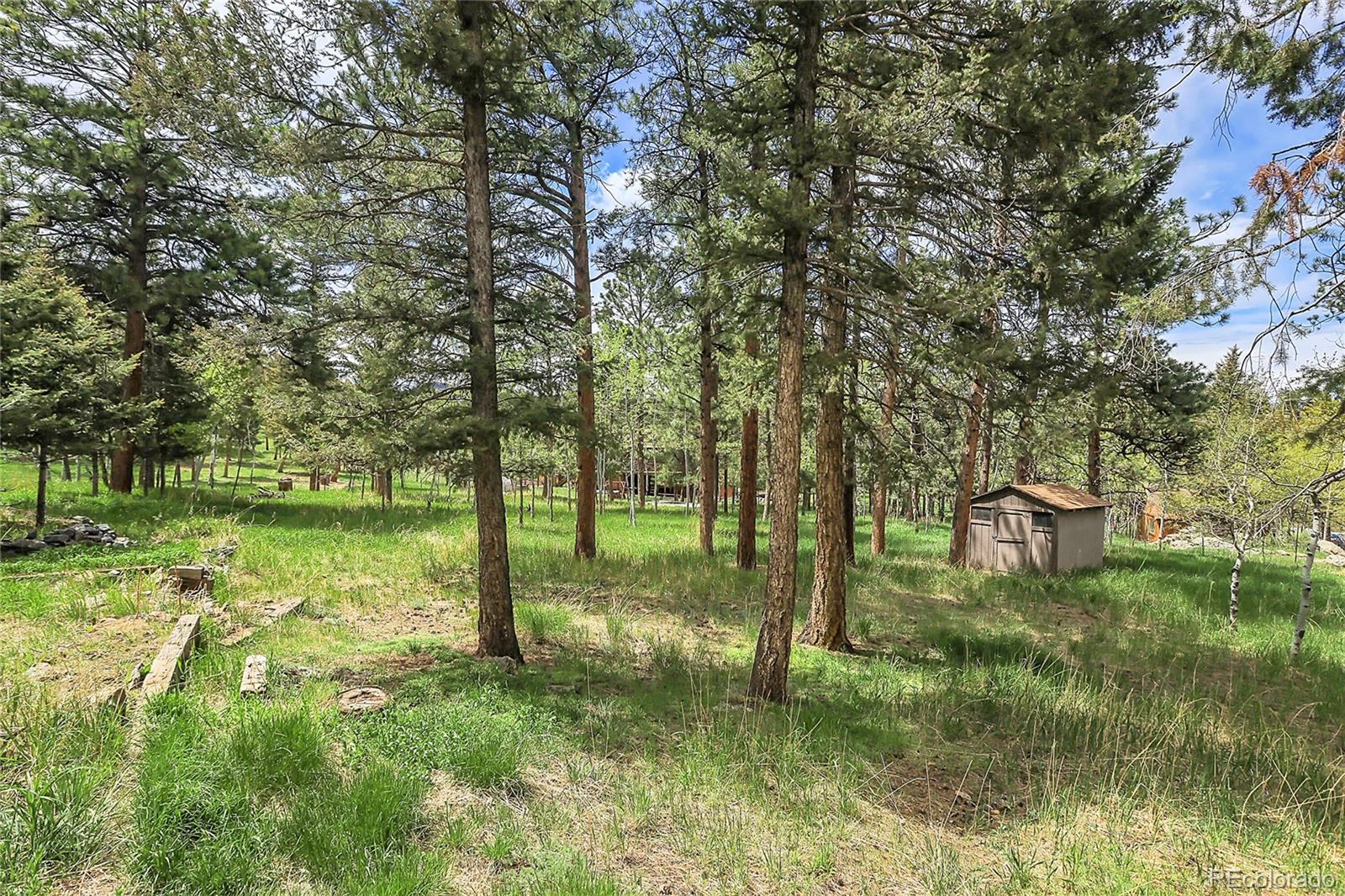 MLS Image #35 for 1492  burland drive,bailey, Colorado