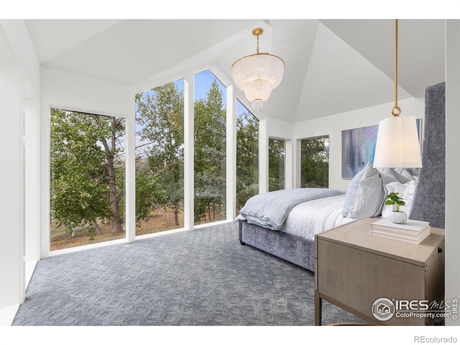 MLS Image #13 for 5800  saint vrain road,longmont, Colorado