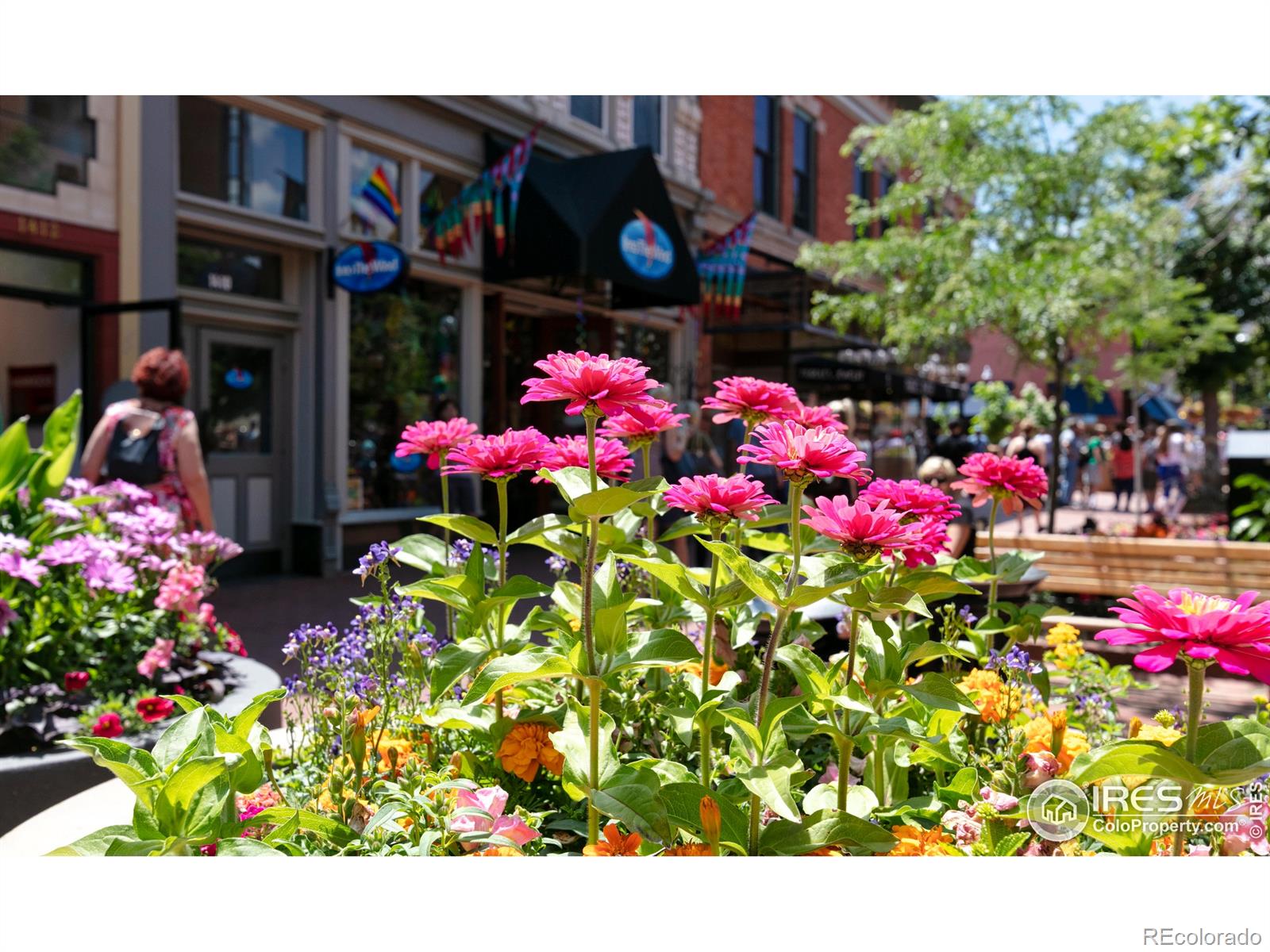 MLS Image #35 for 2420  9th street,boulder, Colorado