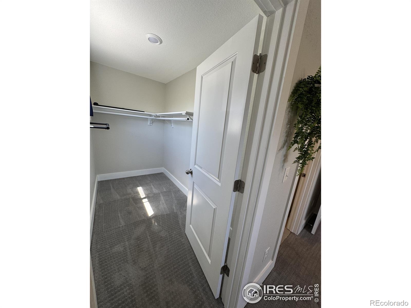 MLS Image #17 for 345 s forest street,denver, Colorado
