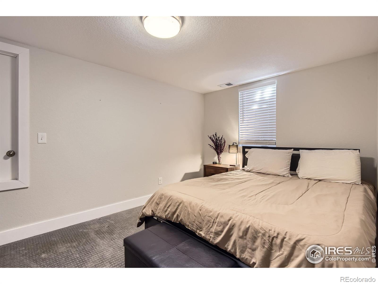 MLS Image #21 for 345 s forest street,denver, Colorado