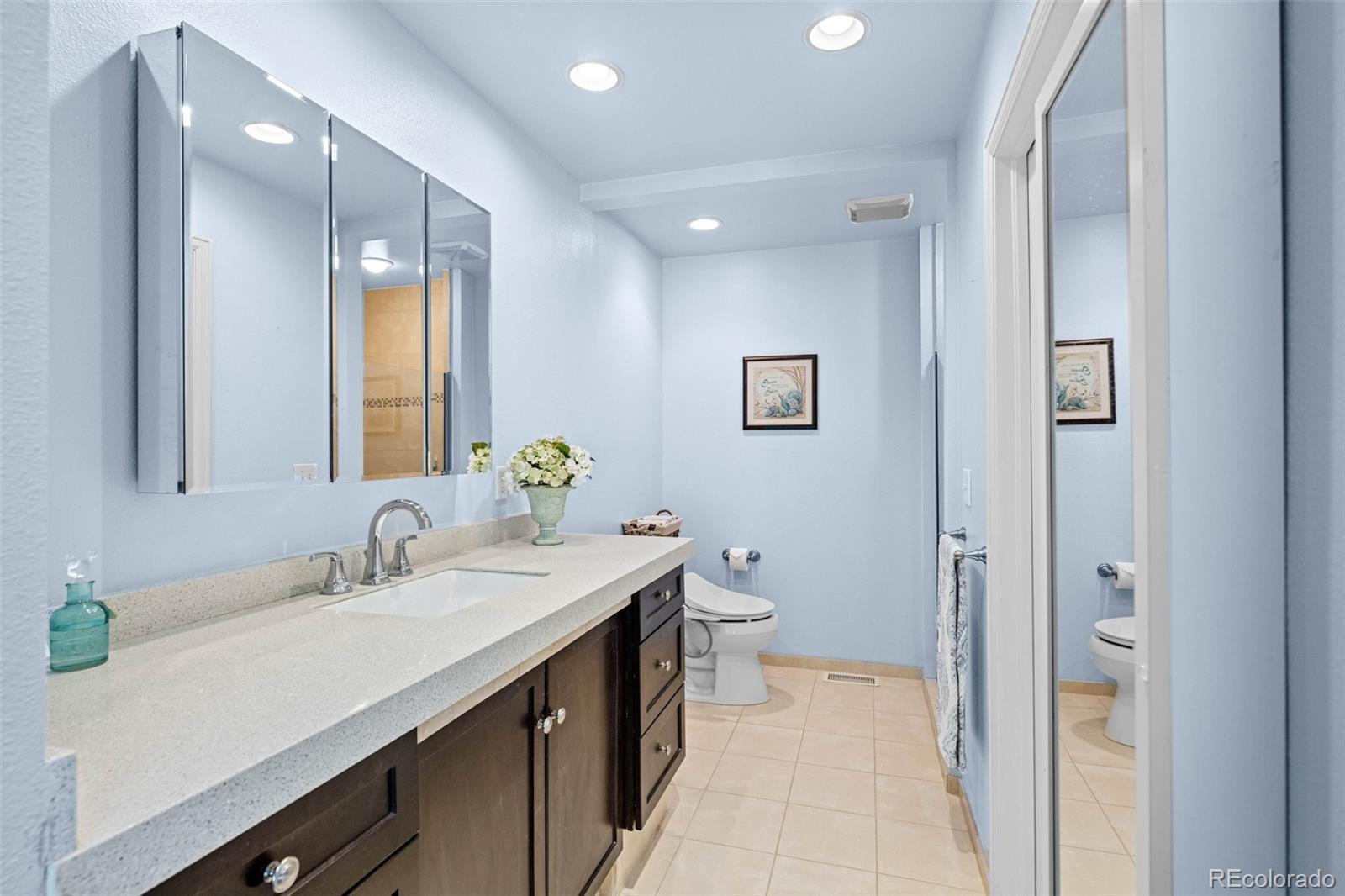 MLS Image #22 for 33  canongate lane,highlands ranch, Colorado