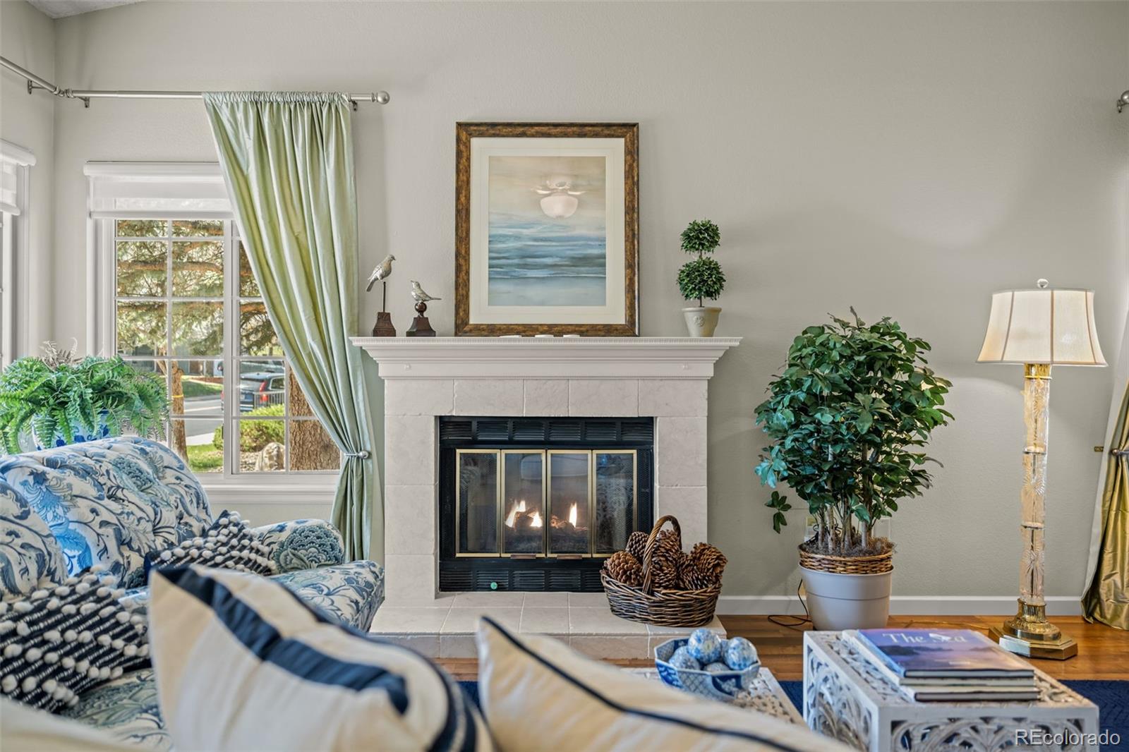 MLS Image #6 for 33  canongate lane,highlands ranch, Colorado