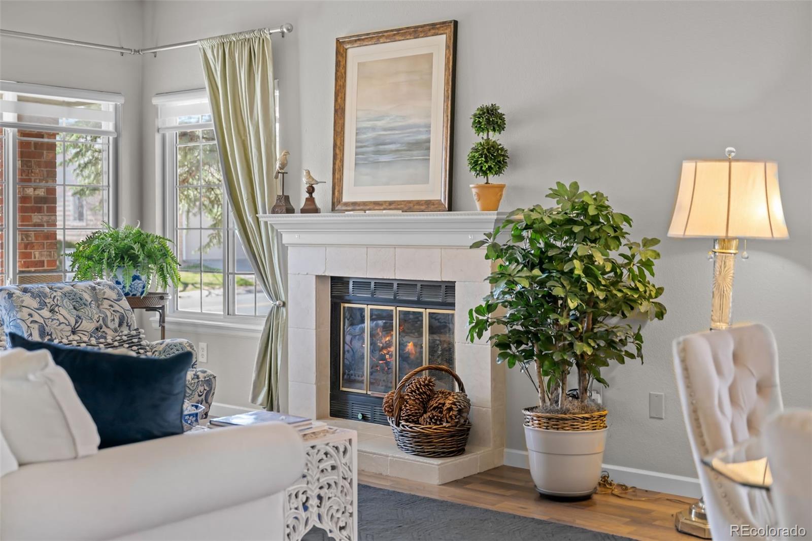 MLS Image #7 for 33  canongate lane,highlands ranch, Colorado