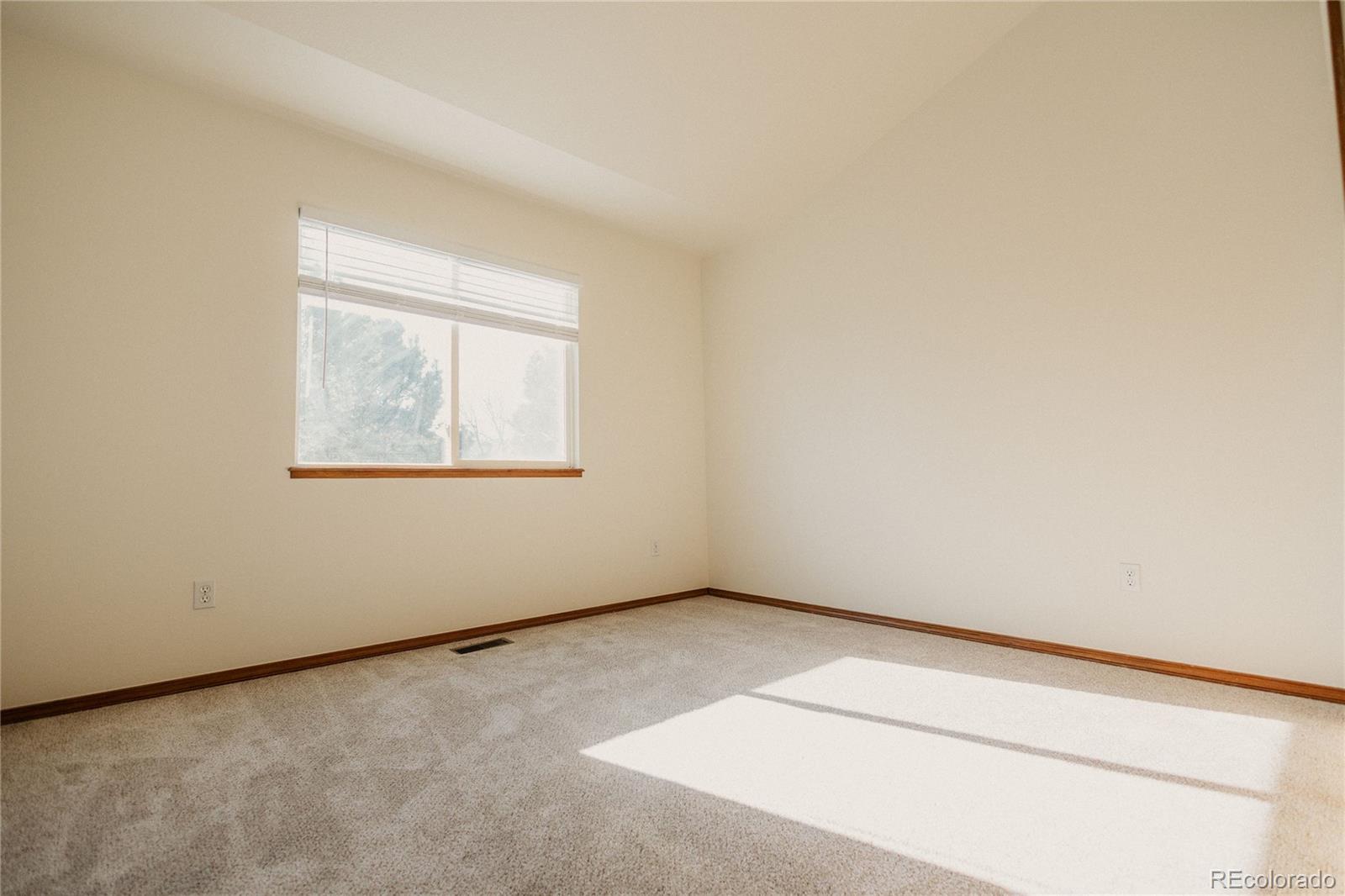 MLS Image #28 for 5630  mercer drive,colorado springs, Colorado