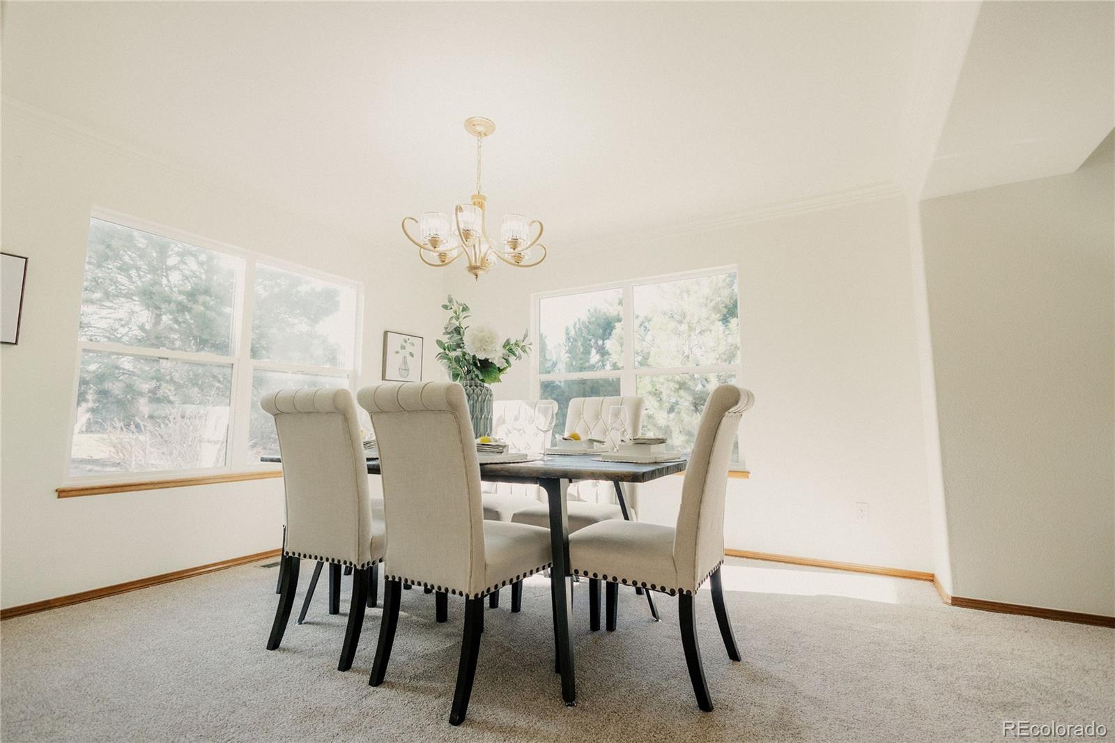 MLS Image #5 for 5630  mercer drive,colorado springs, Colorado