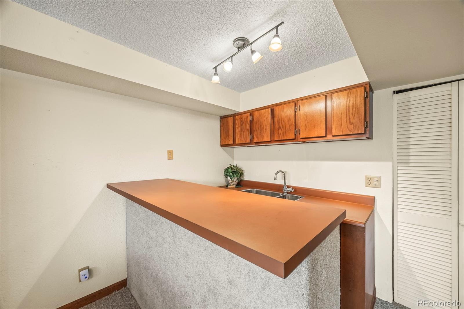 MLS Image #20 for 10433  red mountain ,littleton, Colorado