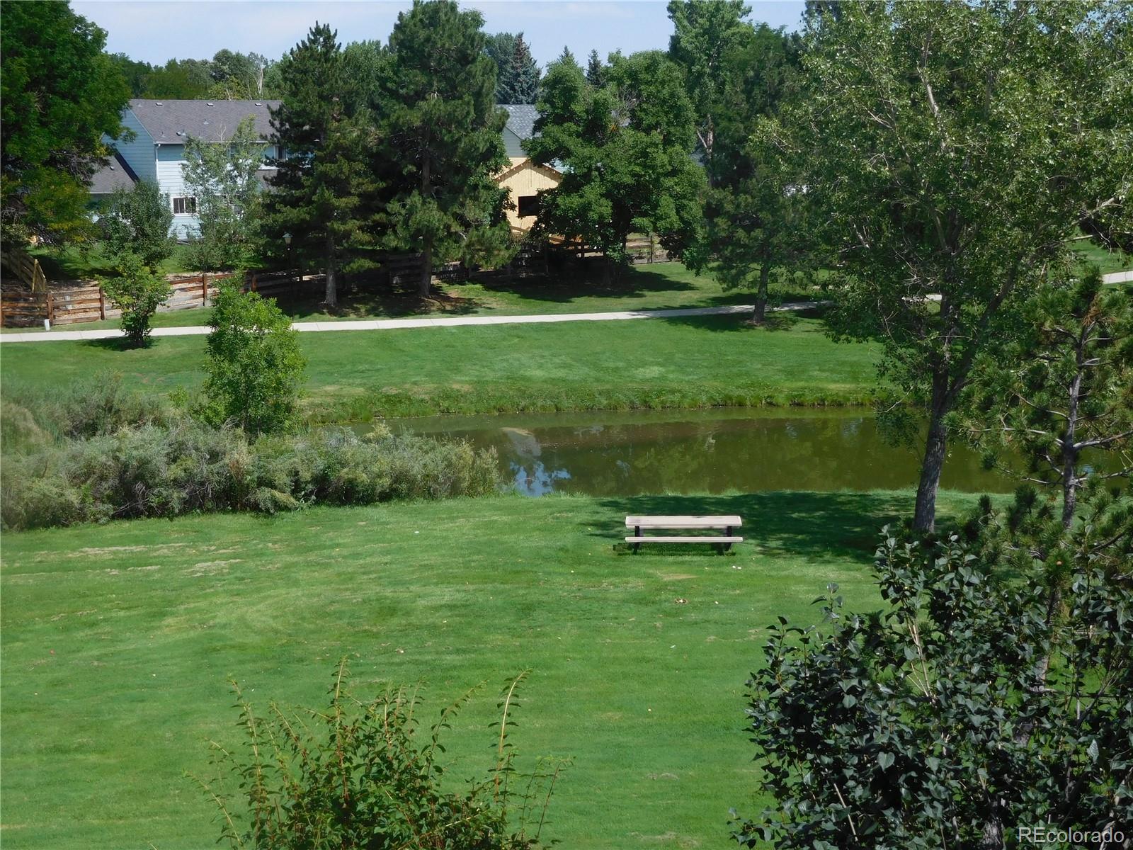 MLS Image #29 for 10433  red mountain ,littleton, Colorado