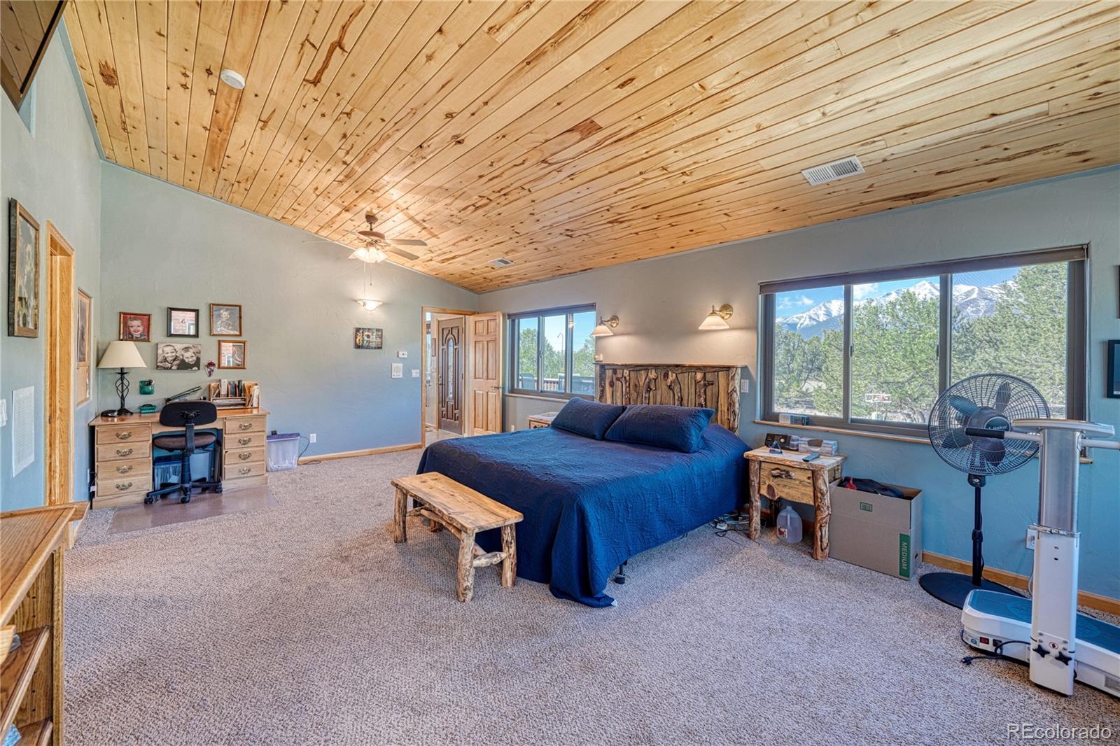 MLS Image #20 for 16275  county road 350 ,buena vista, Colorado
