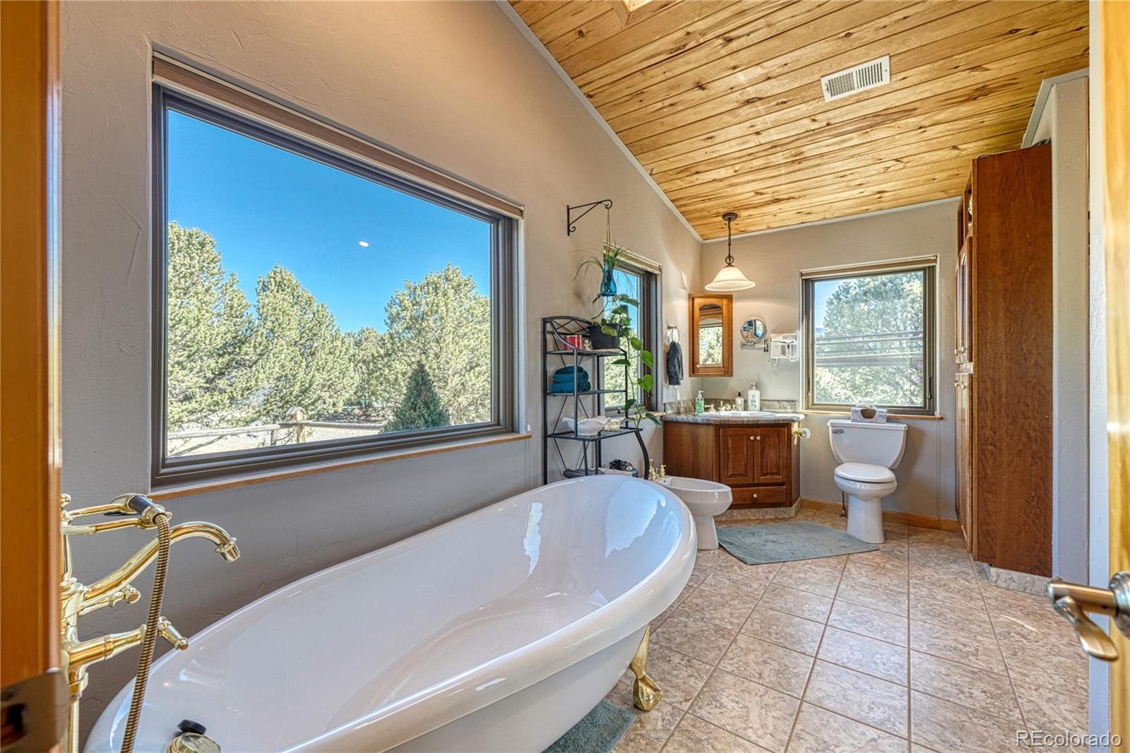 MLS Image #22 for 16275  county road 350 ,buena vista, Colorado