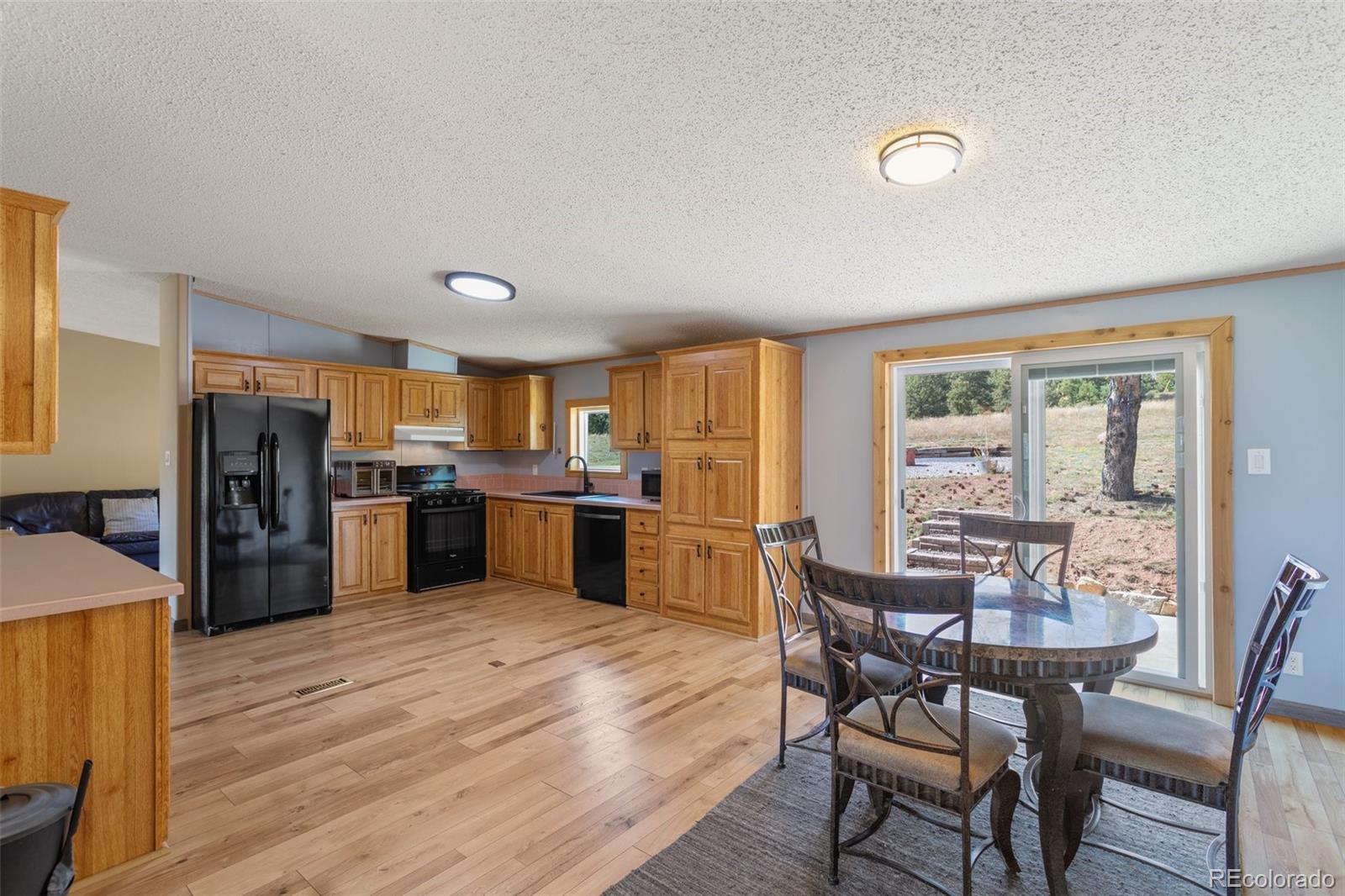 MLS Image #6 for 154  hummingbird circle,florissant, Colorado
