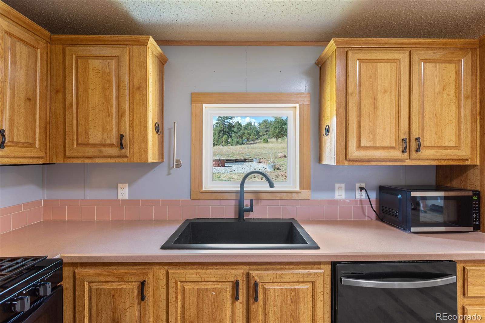 MLS Image #9 for 154  hummingbird circle,florissant, Colorado