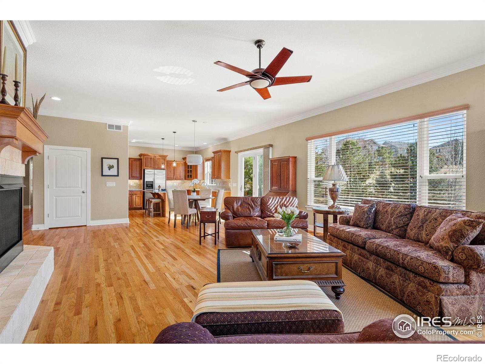 MLS Image #10 for 14958  wistera way,broomfield, Colorado