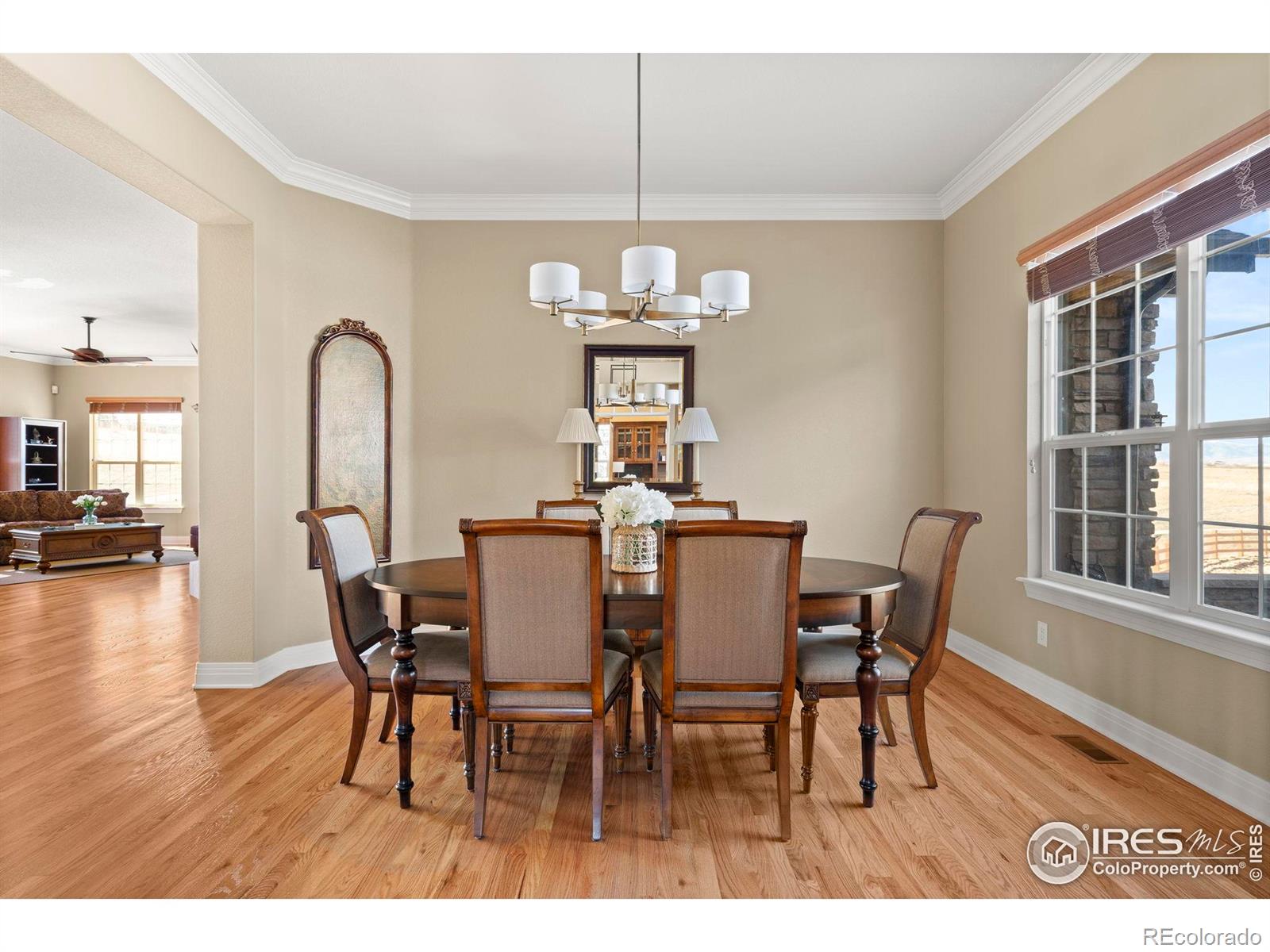 MLS Image #16 for 14958  wistera way,broomfield, Colorado