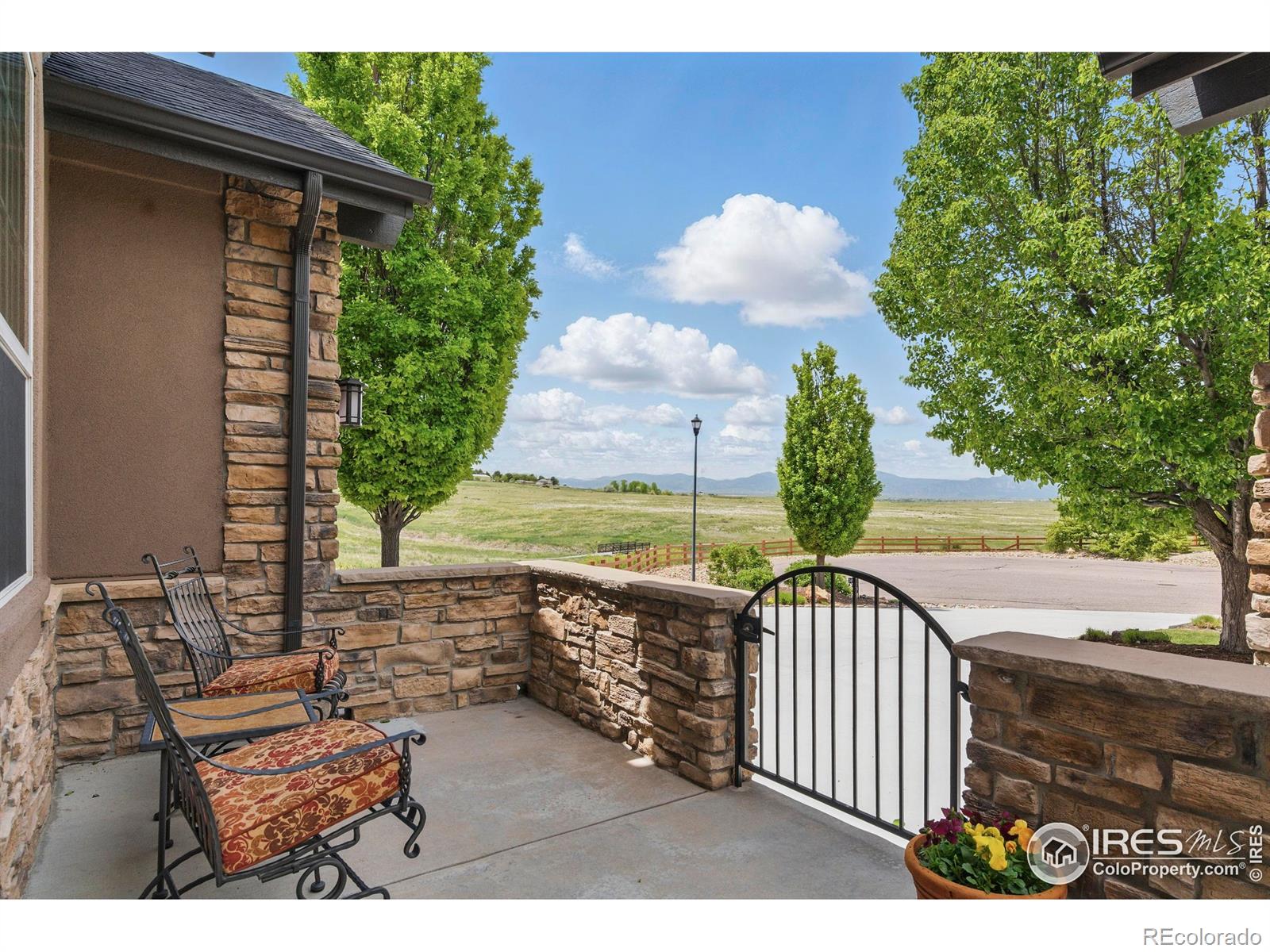 MLS Image #2 for 14958  wistera way,broomfield, Colorado