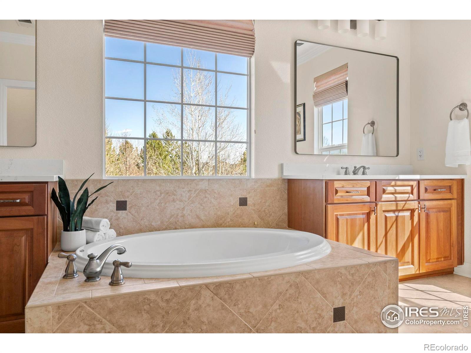 MLS Image #22 for 14958  wistera way,broomfield, Colorado