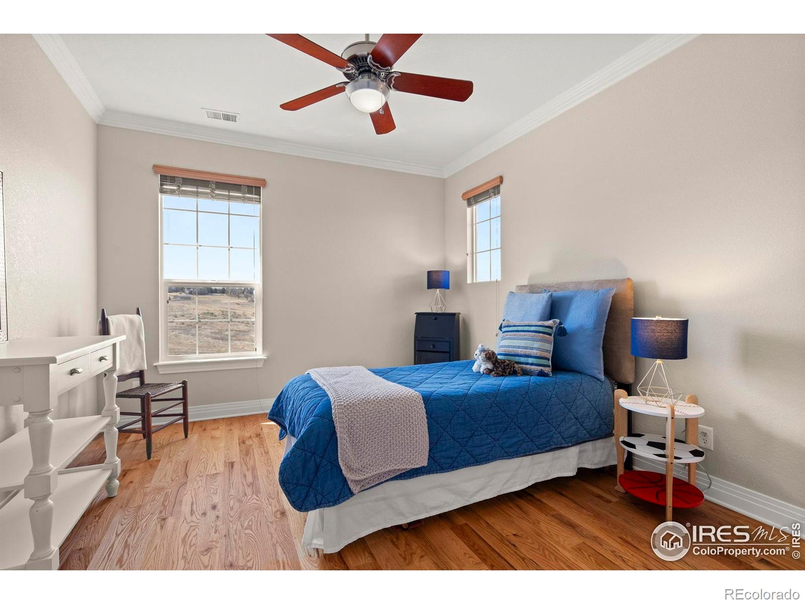 MLS Image #25 for 14958  wistera way,broomfield, Colorado