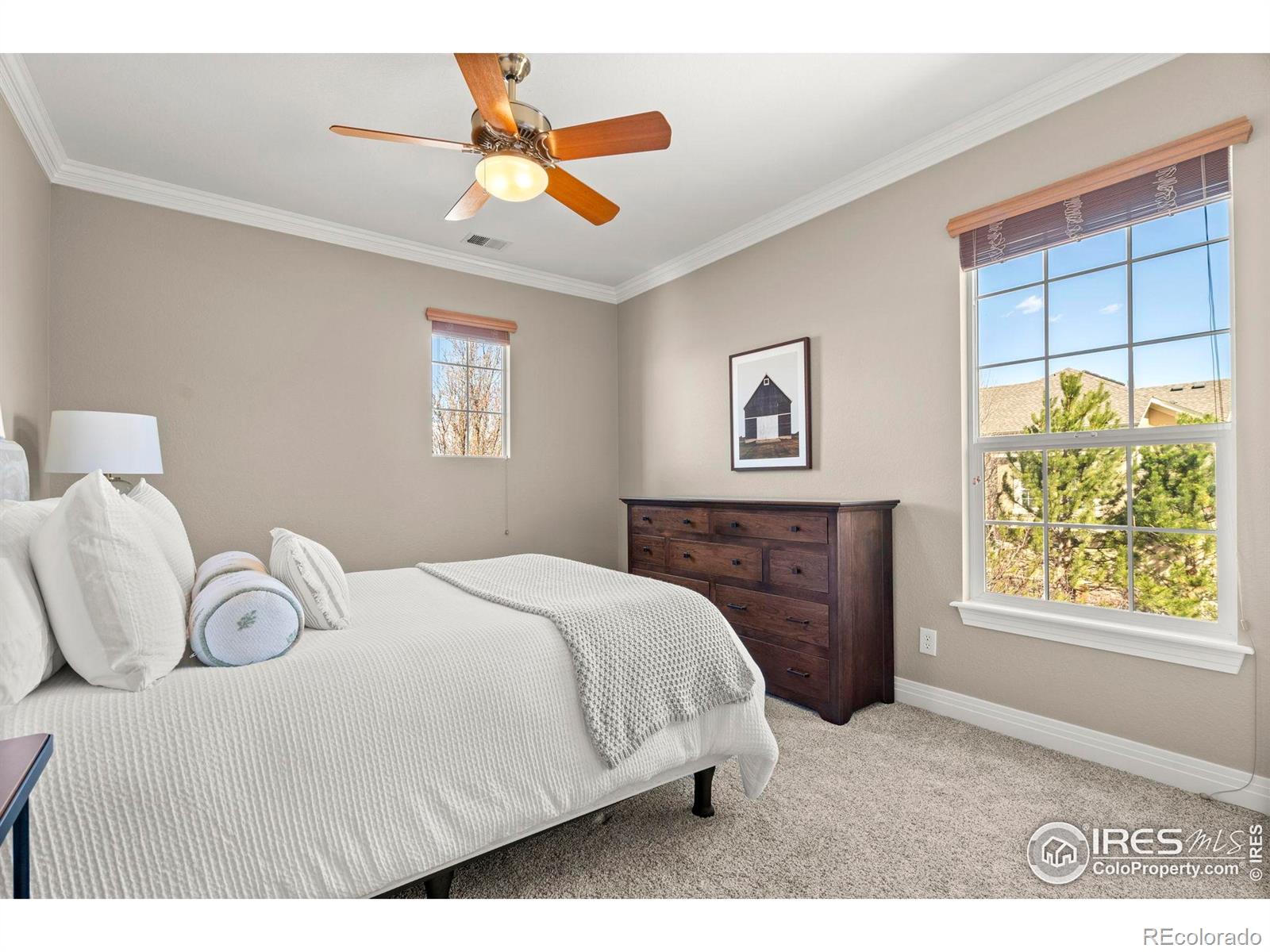 MLS Image #28 for 14958  wistera way,broomfield, Colorado