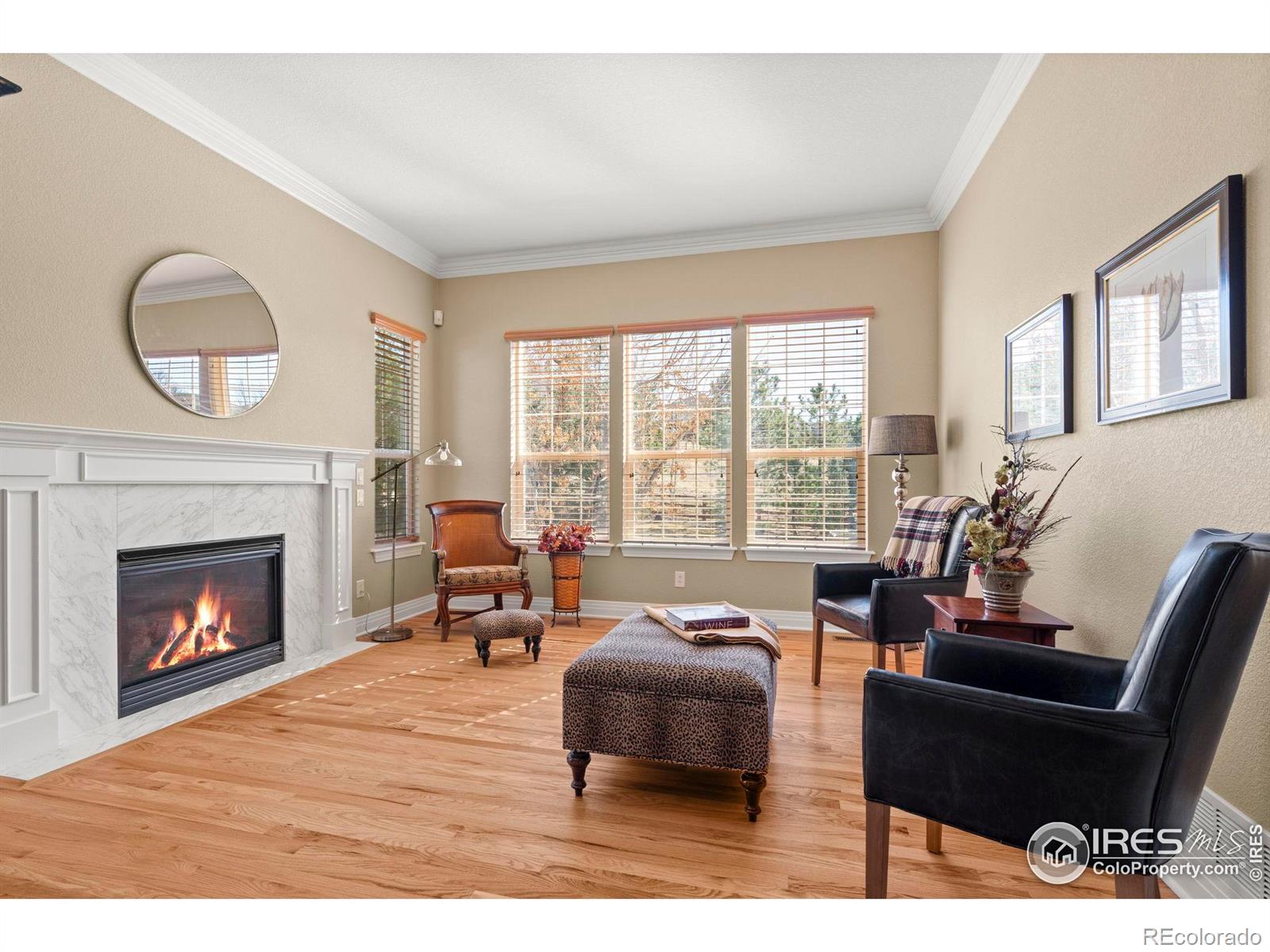 MLS Image #6 for 14958  wistera way,broomfield, Colorado