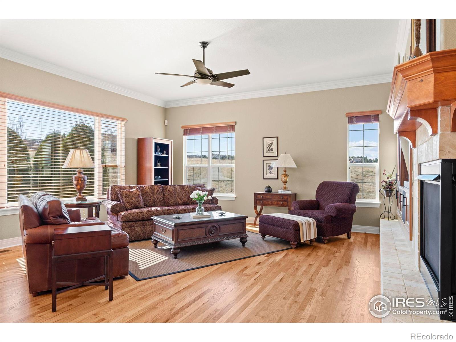 MLS Image #9 for 14958  wistera way,broomfield, Colorado