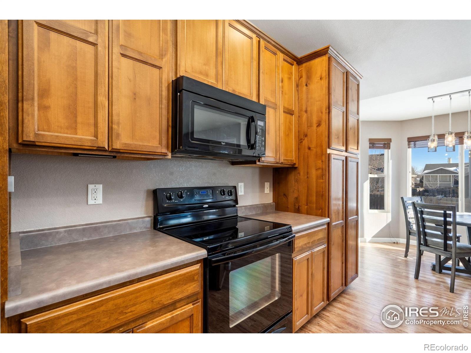 MLS Image #10 for 950  delphinus place,loveland, Colorado
